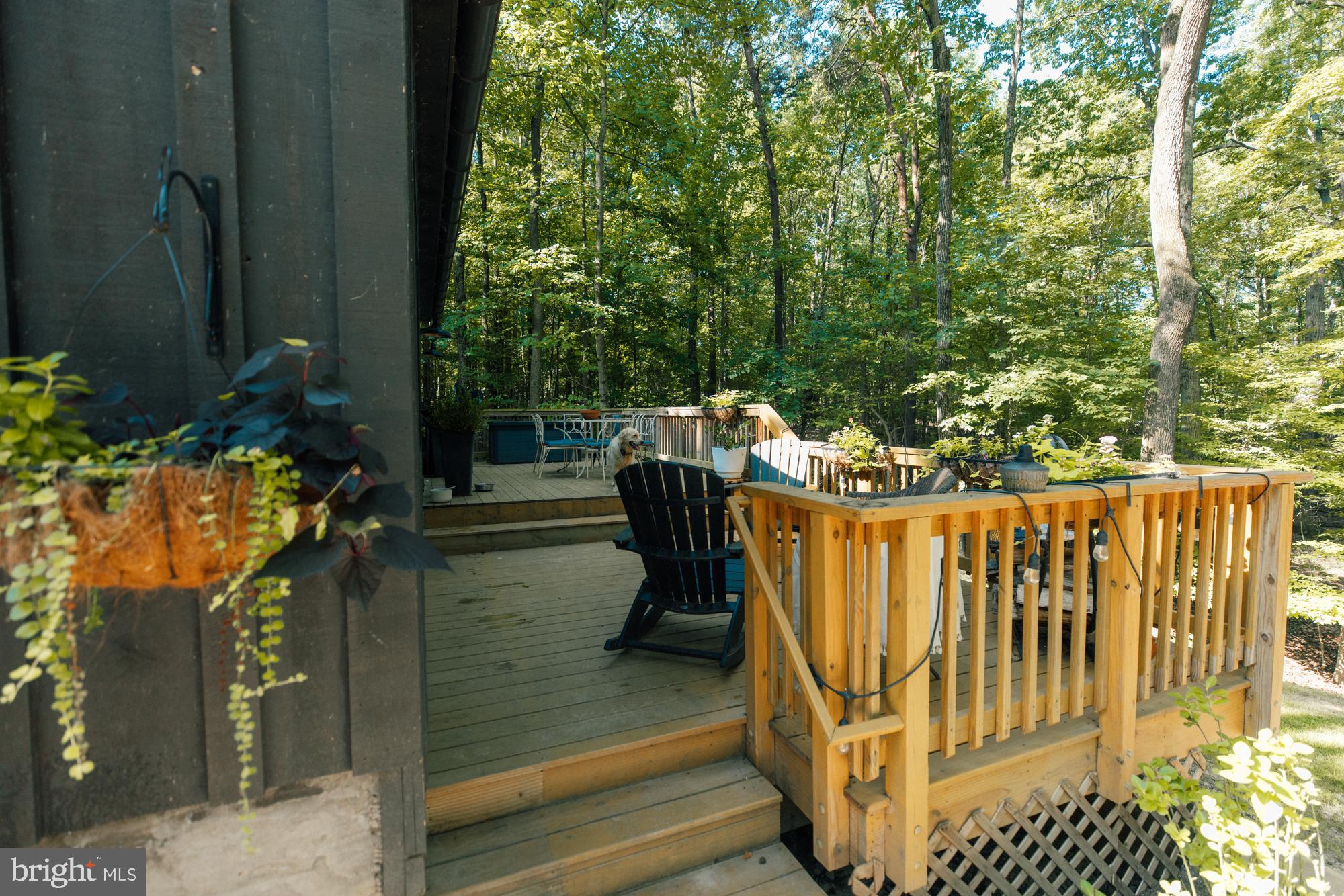 SHENANDOAH RETREAT - Residential