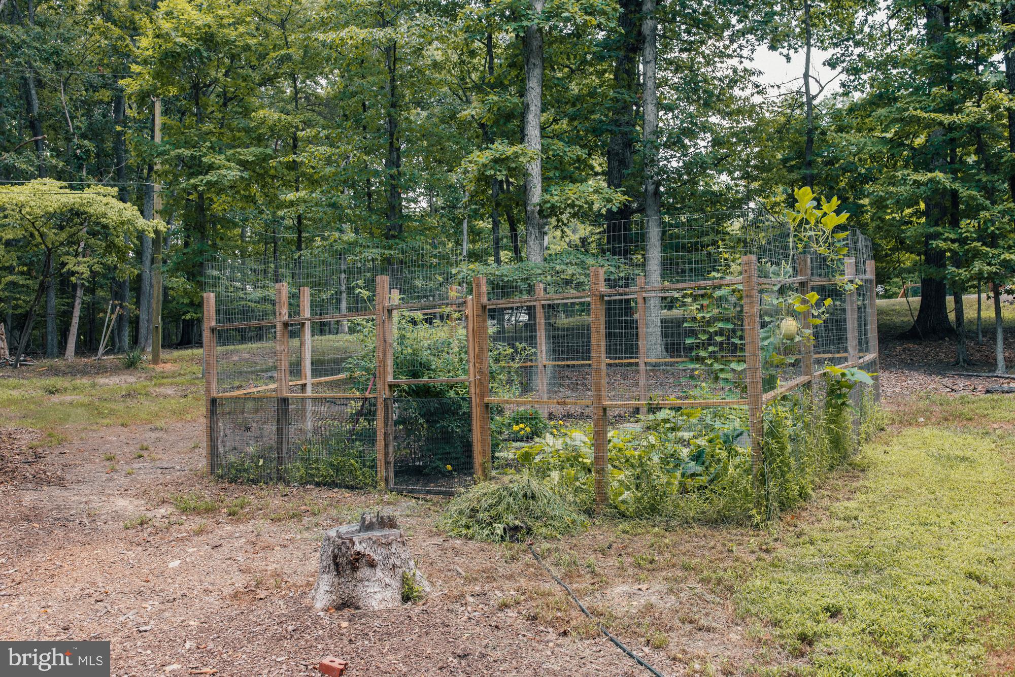 SHENANDOAH RETREAT - Residential