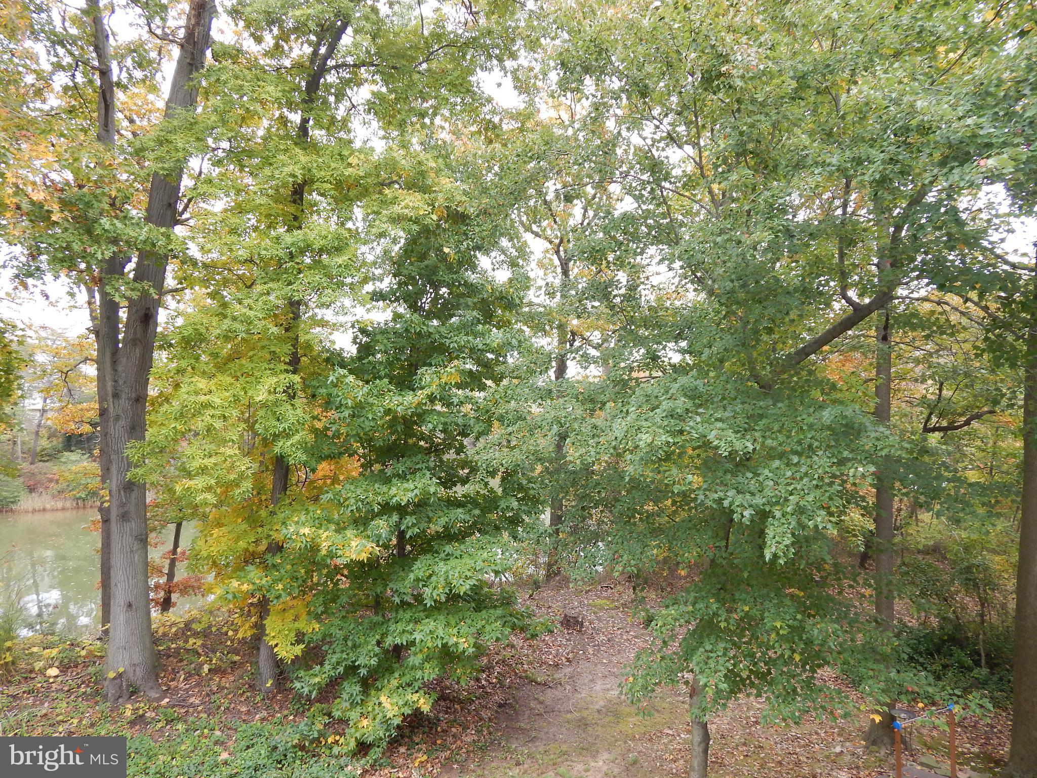 CHESTNUT HILL COVE - Residential