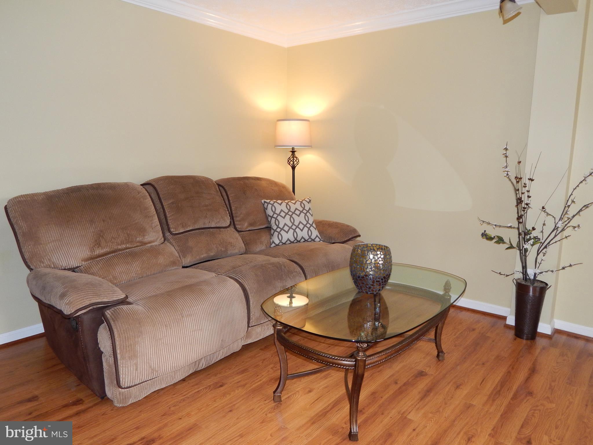 CHESTNUT HILL COVE - Residential