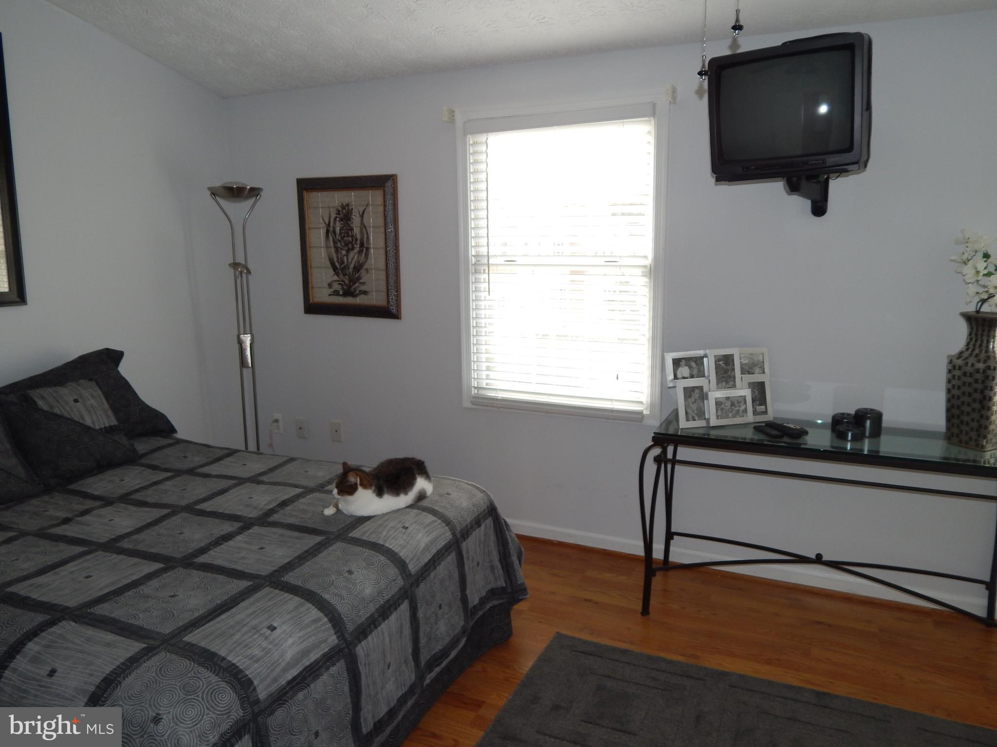 CHESTNUT HILL COVE - Residential