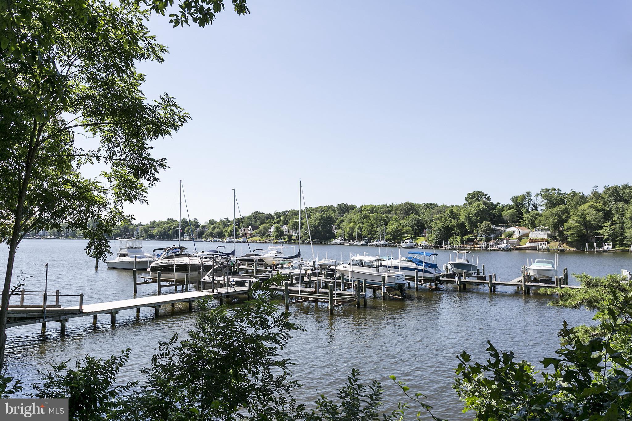 CHESTNUT HILL COVE - Residential