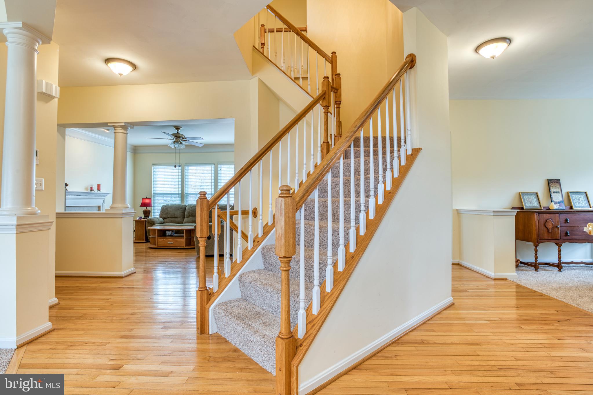 BRAEMAR - Residential
