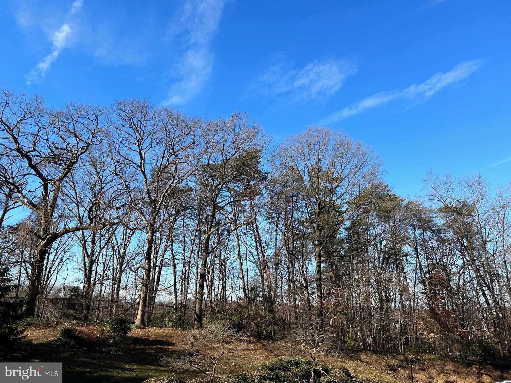 WATERGATE AT LANDMARK - Residential Lease