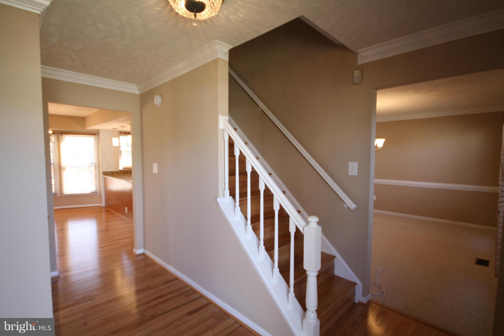 POLO FIELDS - Residential