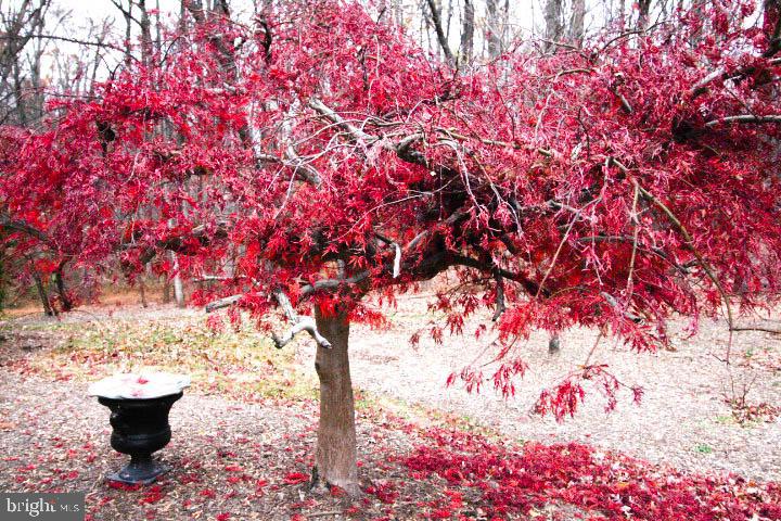 SOUTHFIELD - Residential