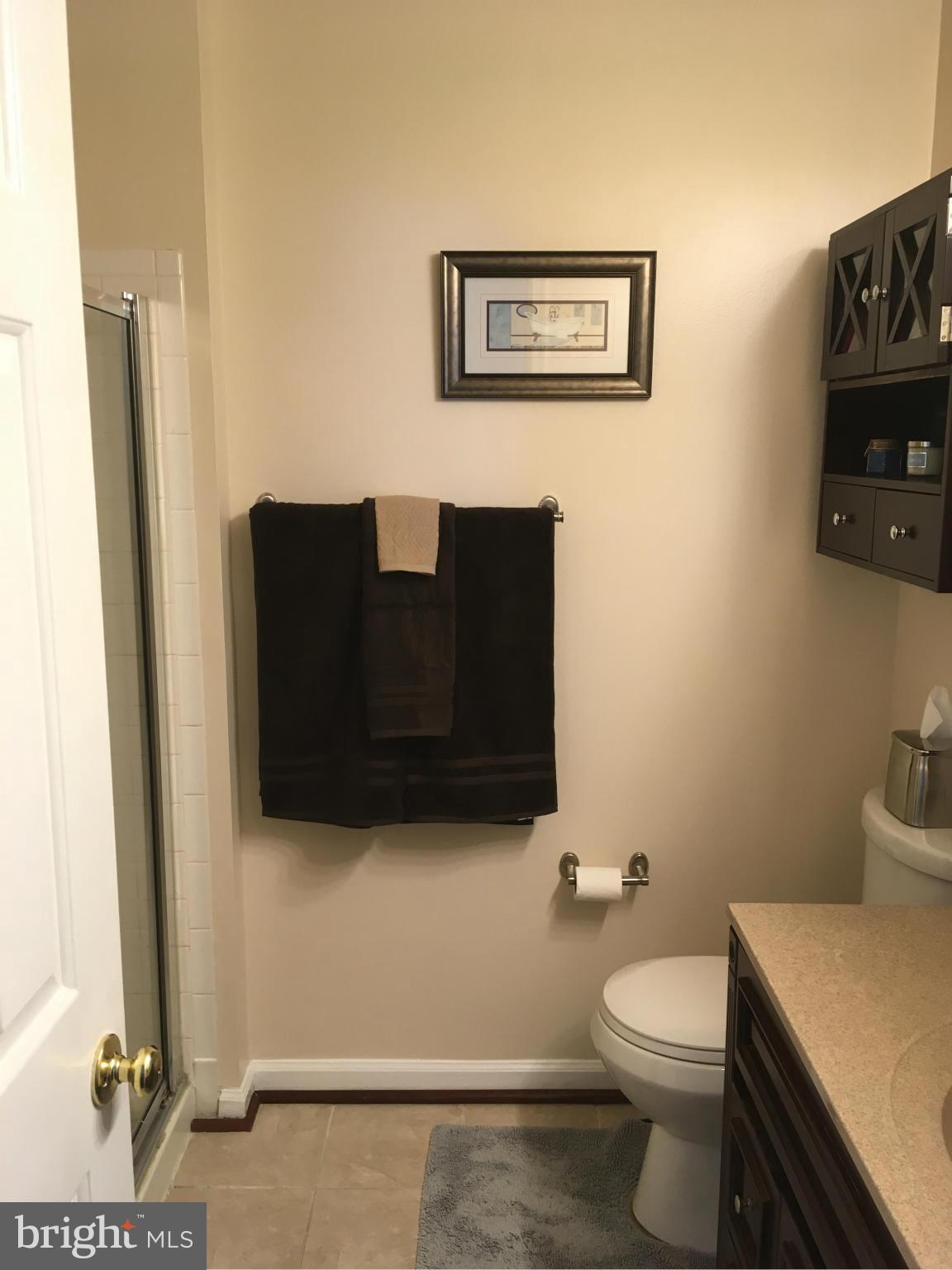 CASTLE STONE AT WHITE MARSH - Residential