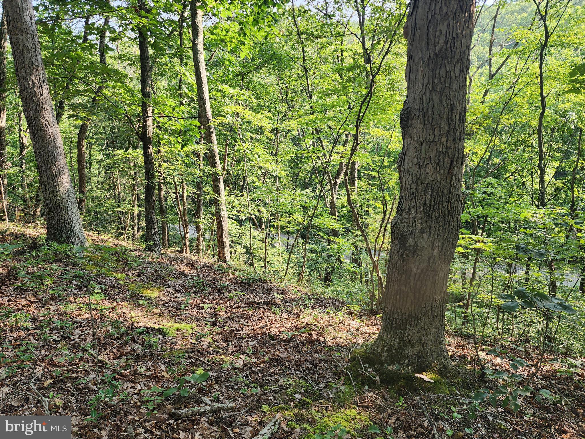 LAKE FERNDALE - Land