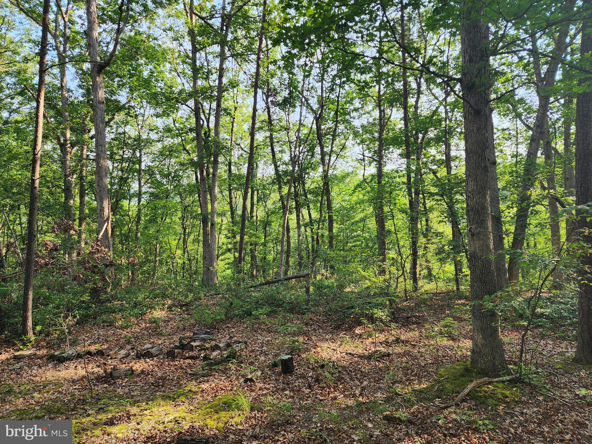 LAKE FERNDALE - Land