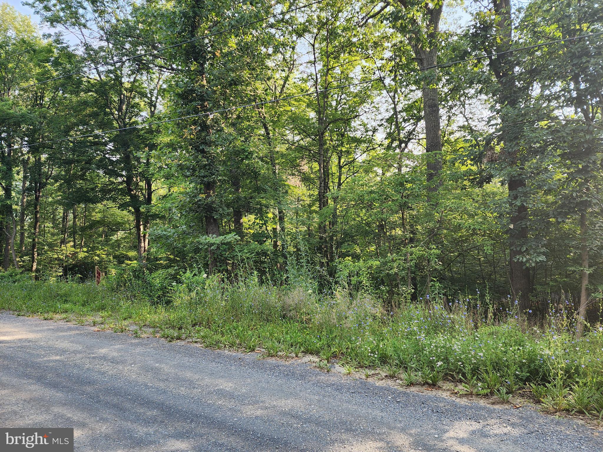 LAKE FERNDALE - Land