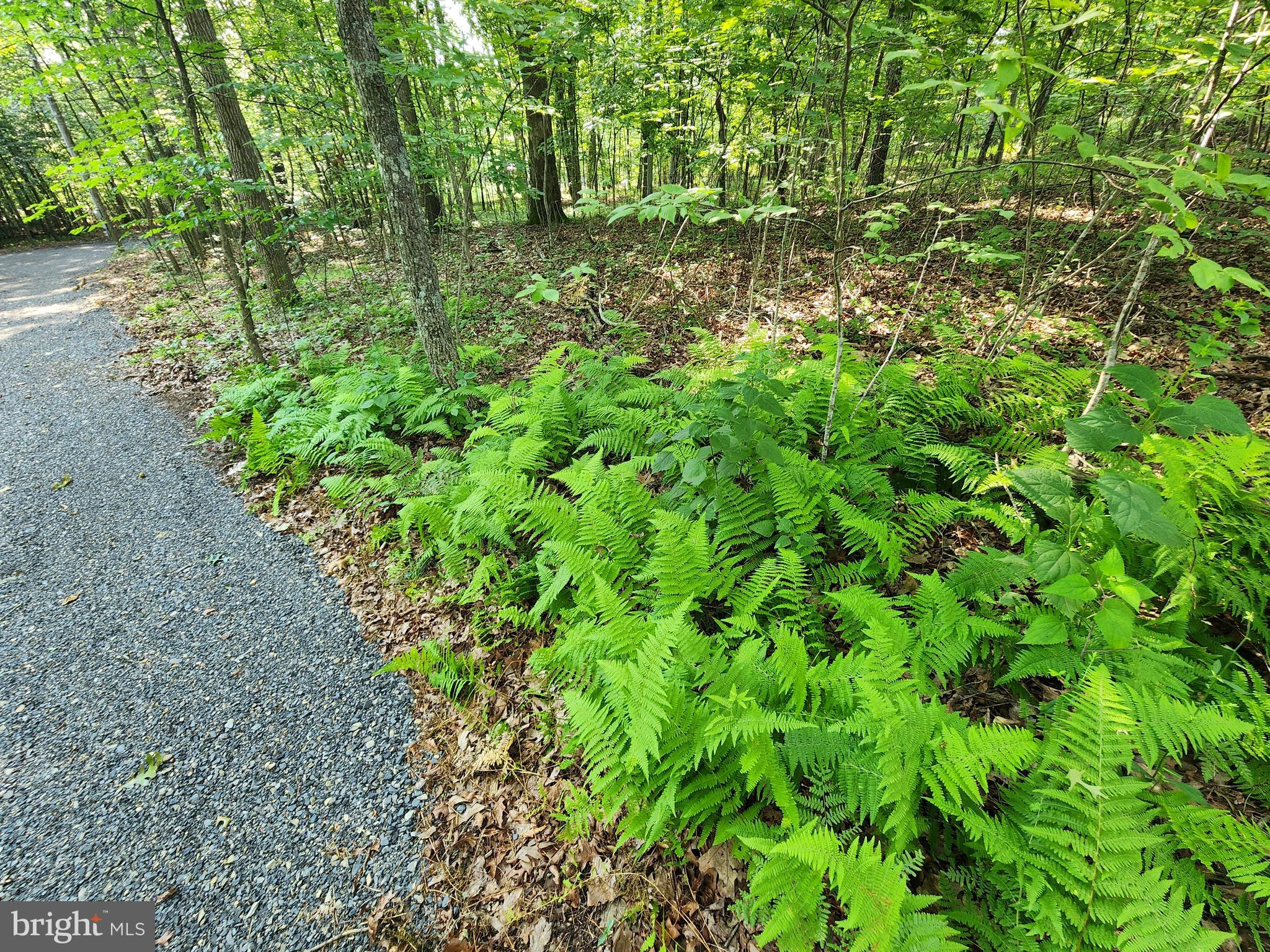 LAKE FERNDALE - Land