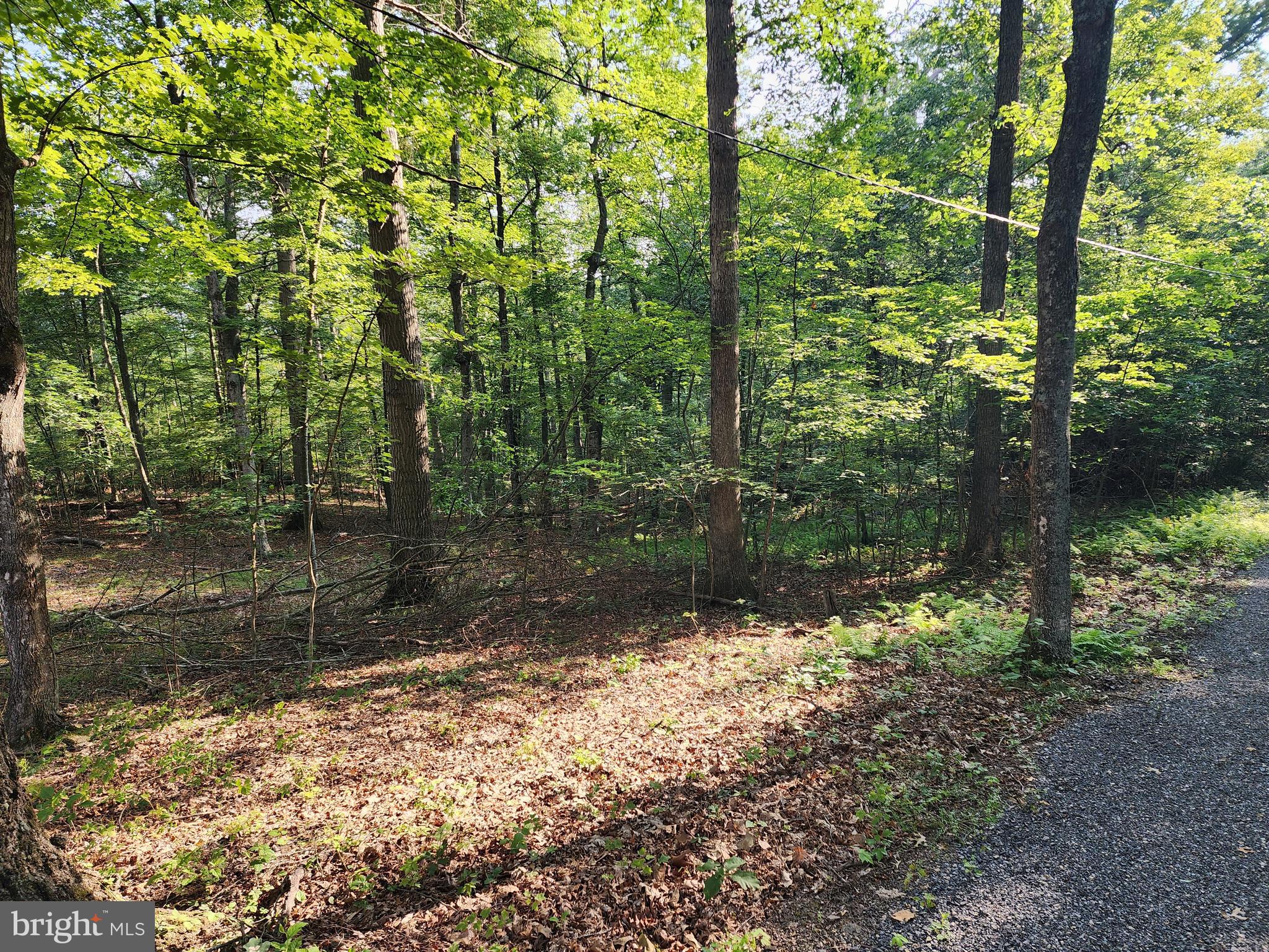 LAKE FERNDALE - Land