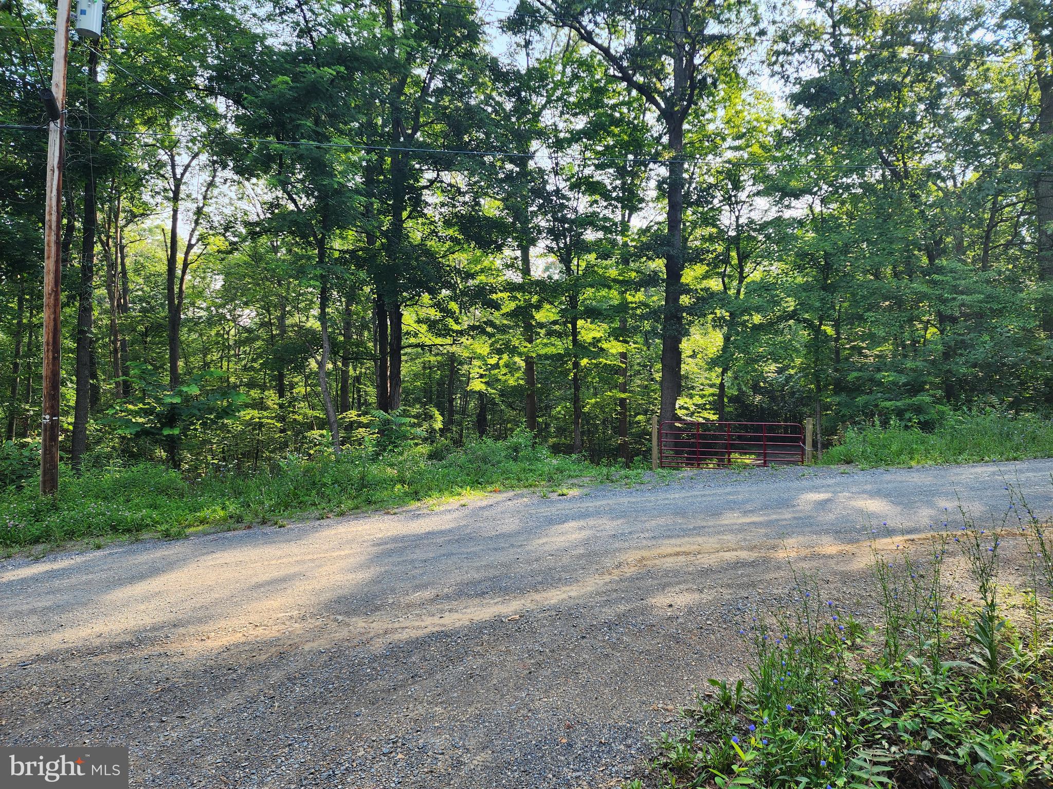 LAKE FERNDALE - Land