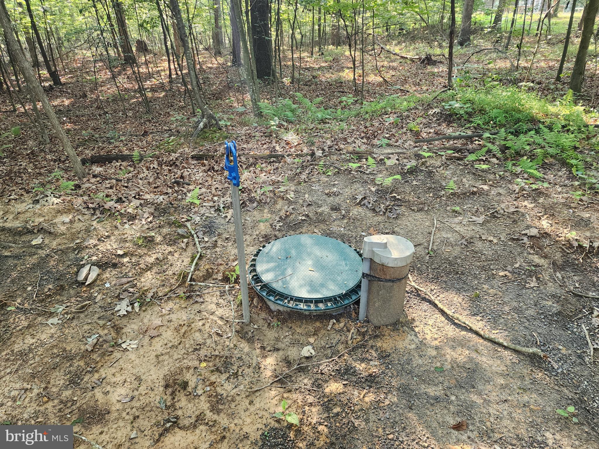 LAKE FERNDALE - Land