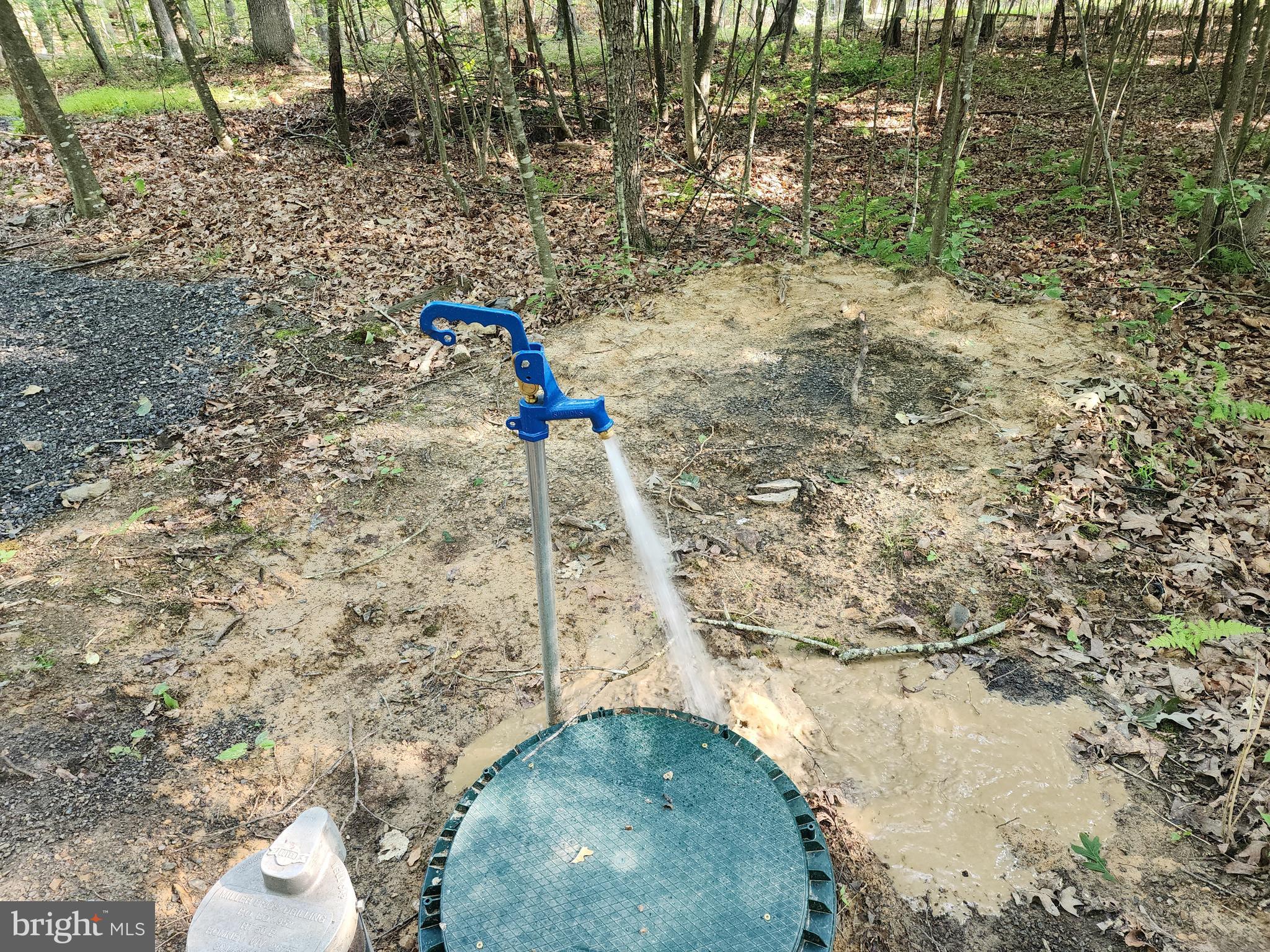 LAKE FERNDALE - Land