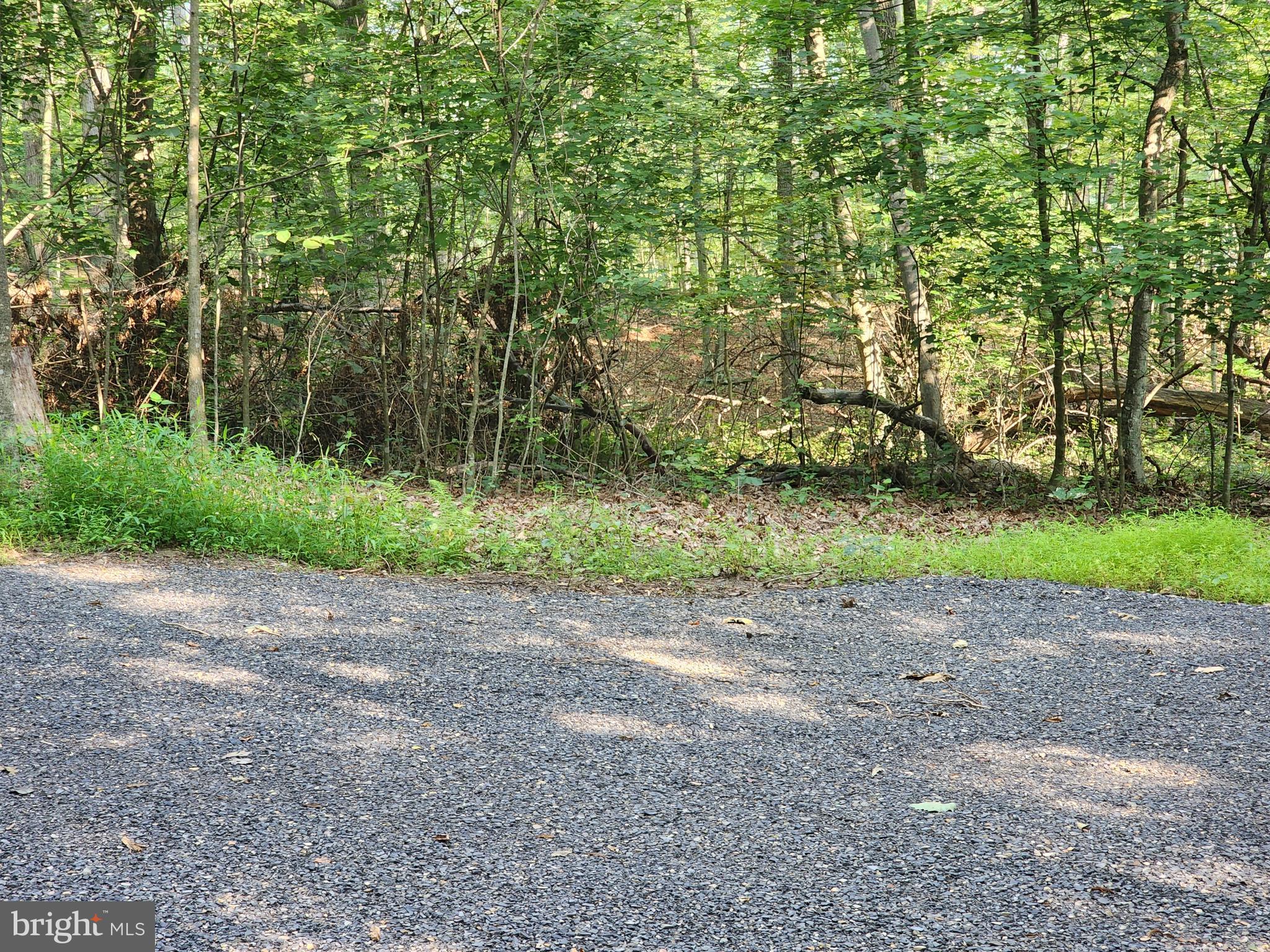 LAKE FERNDALE - Land