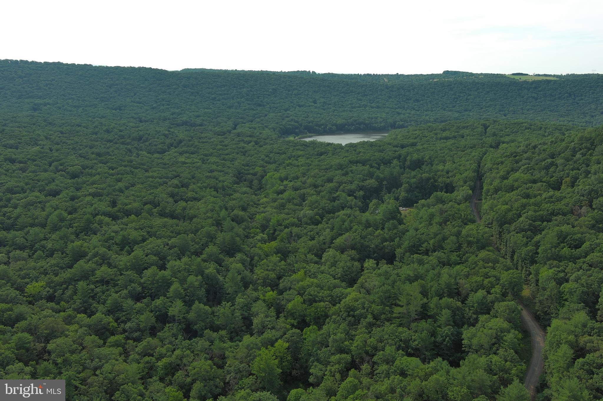 LAKE FERNDALE - Land