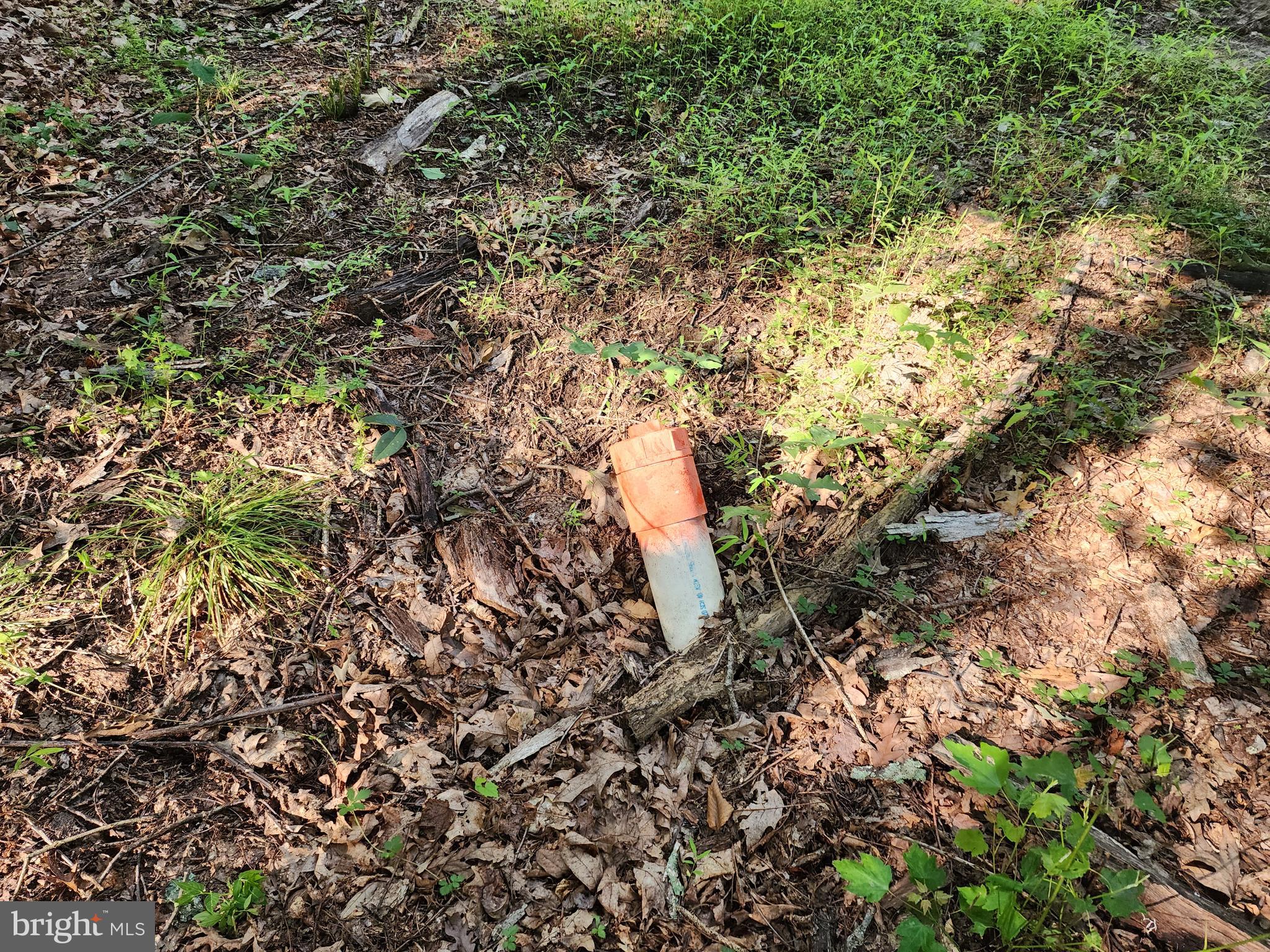 LAKE FERNDALE - Land