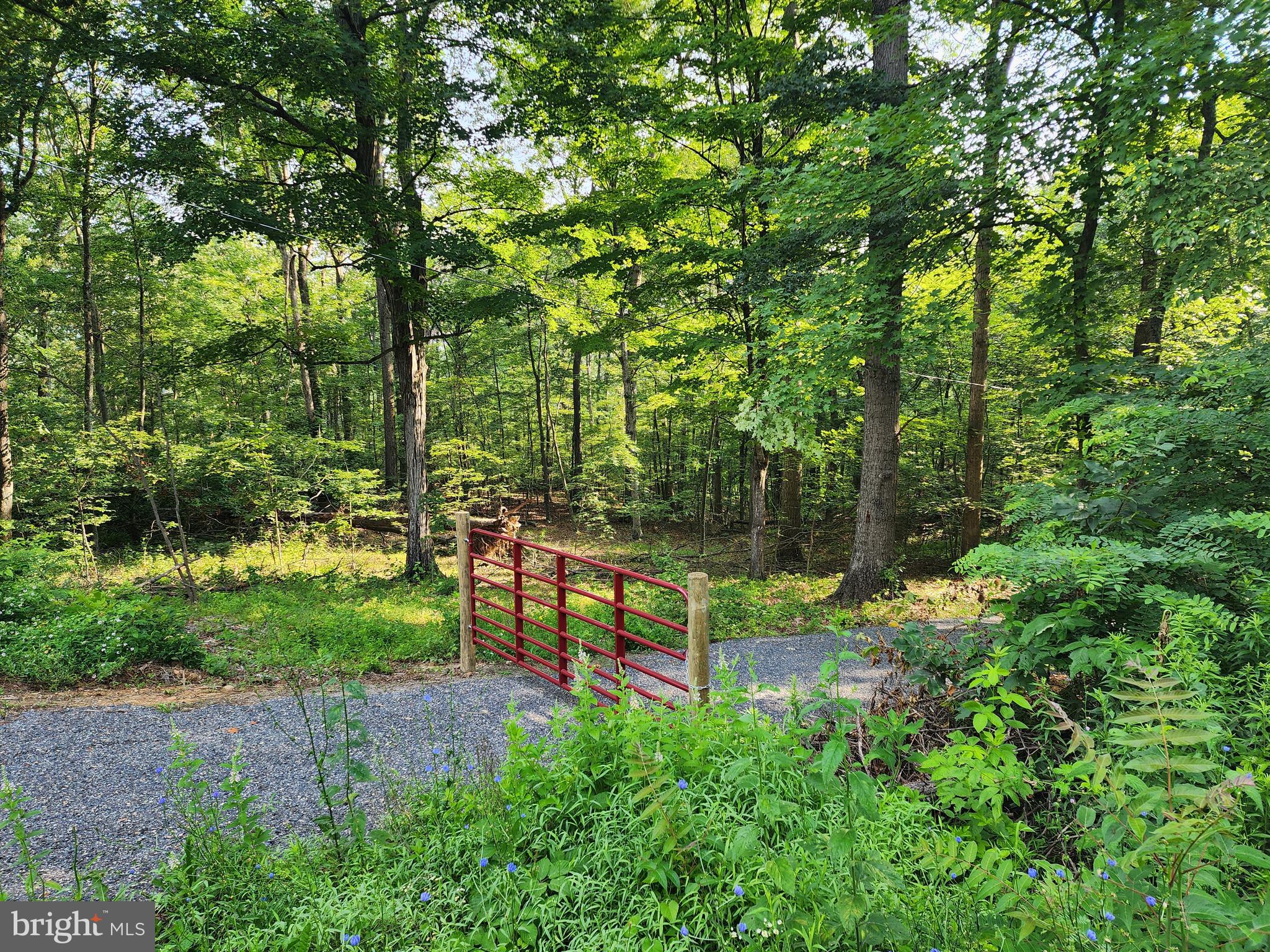 LAKE FERNDALE - Land