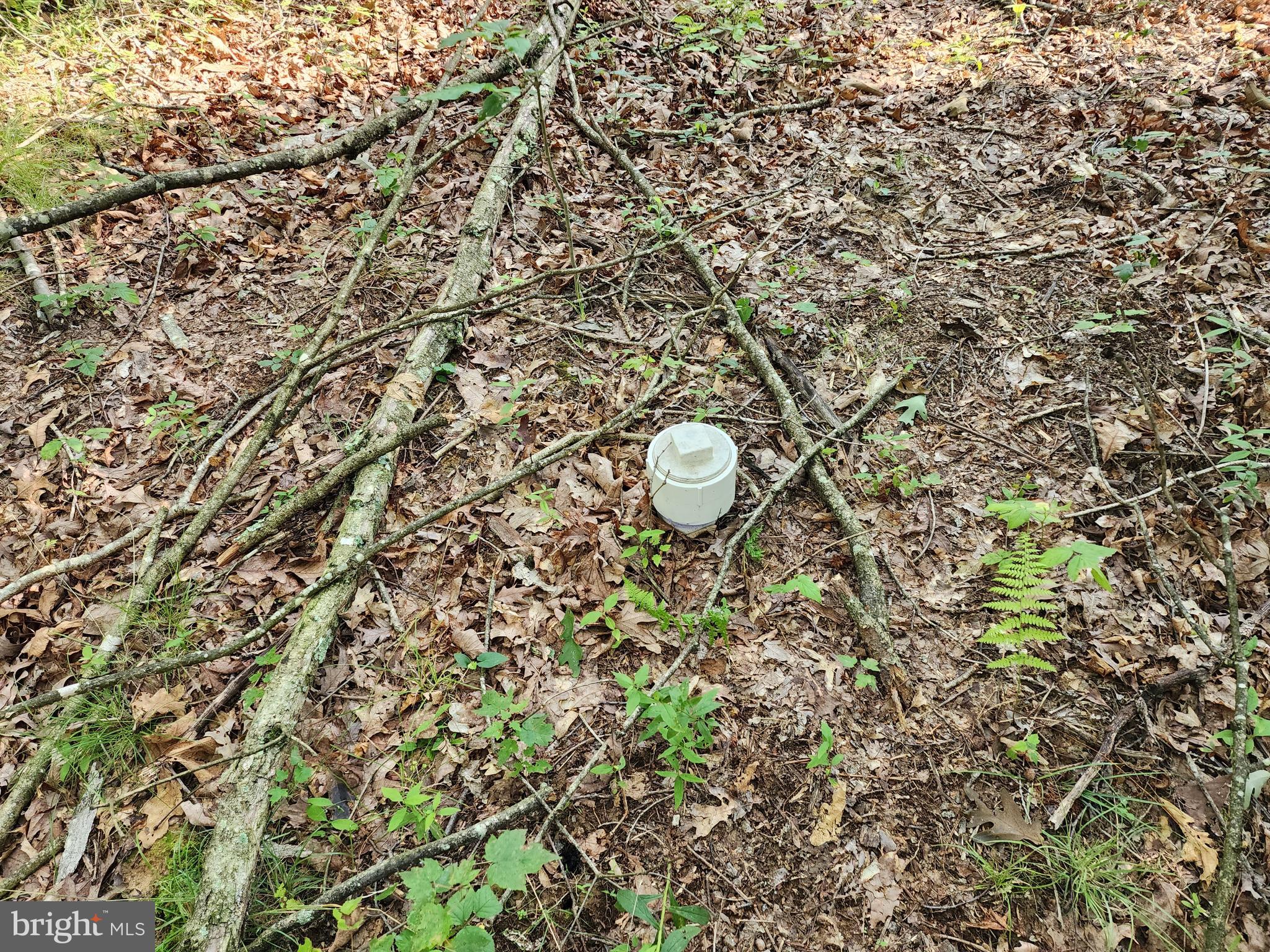 LAKE FERNDALE - Land