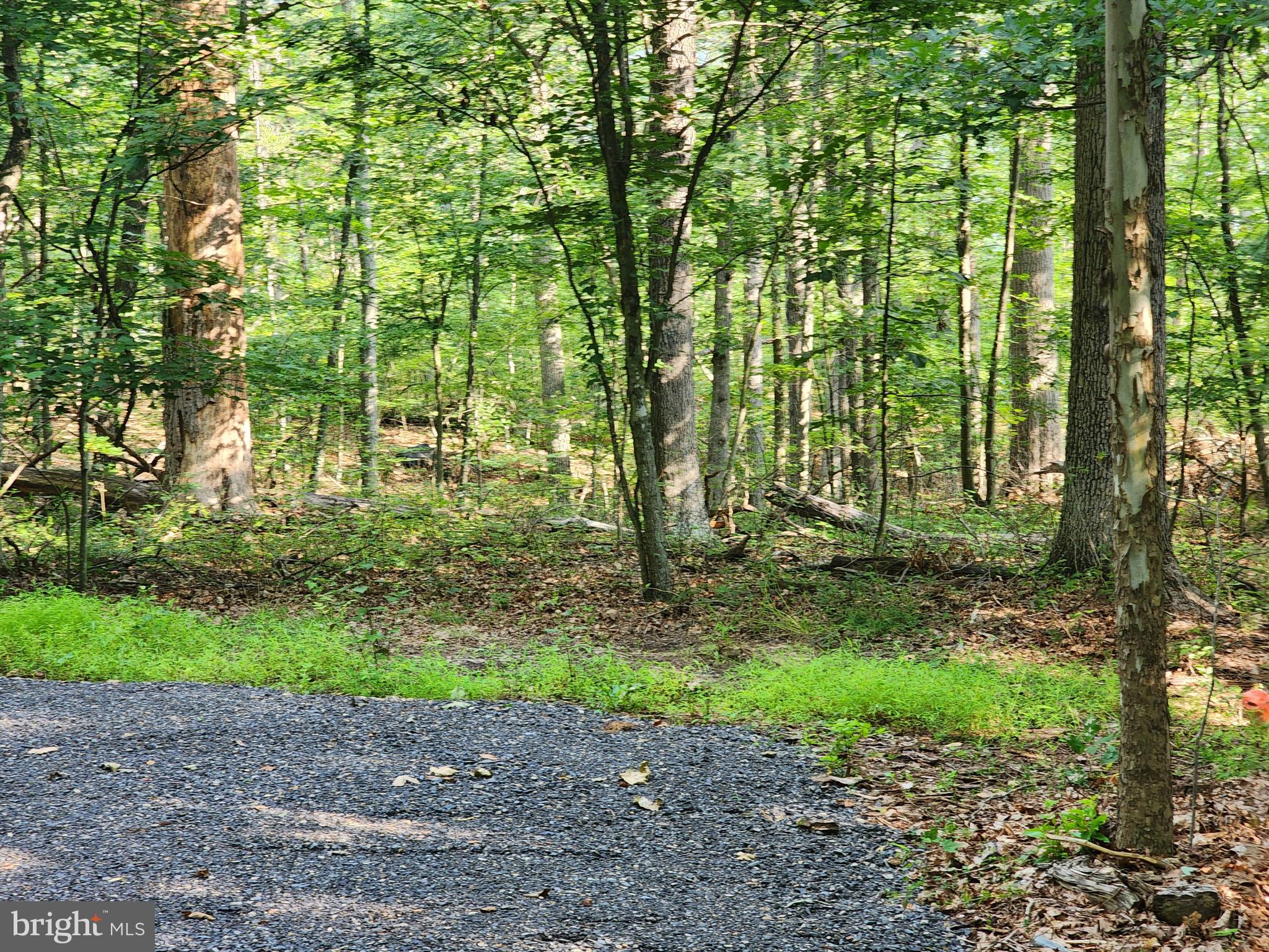 LAKE FERNDALE - Land