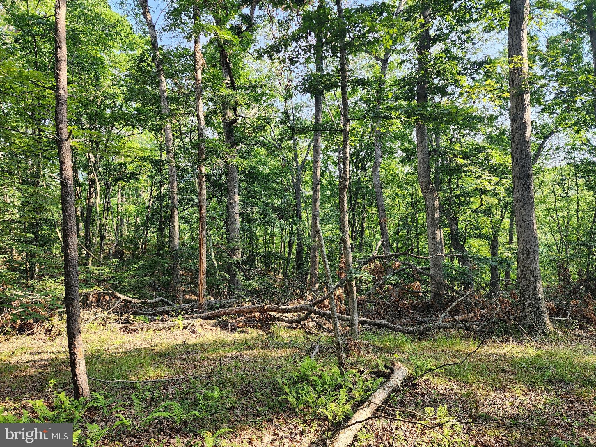 LAKE FERNDALE - Land