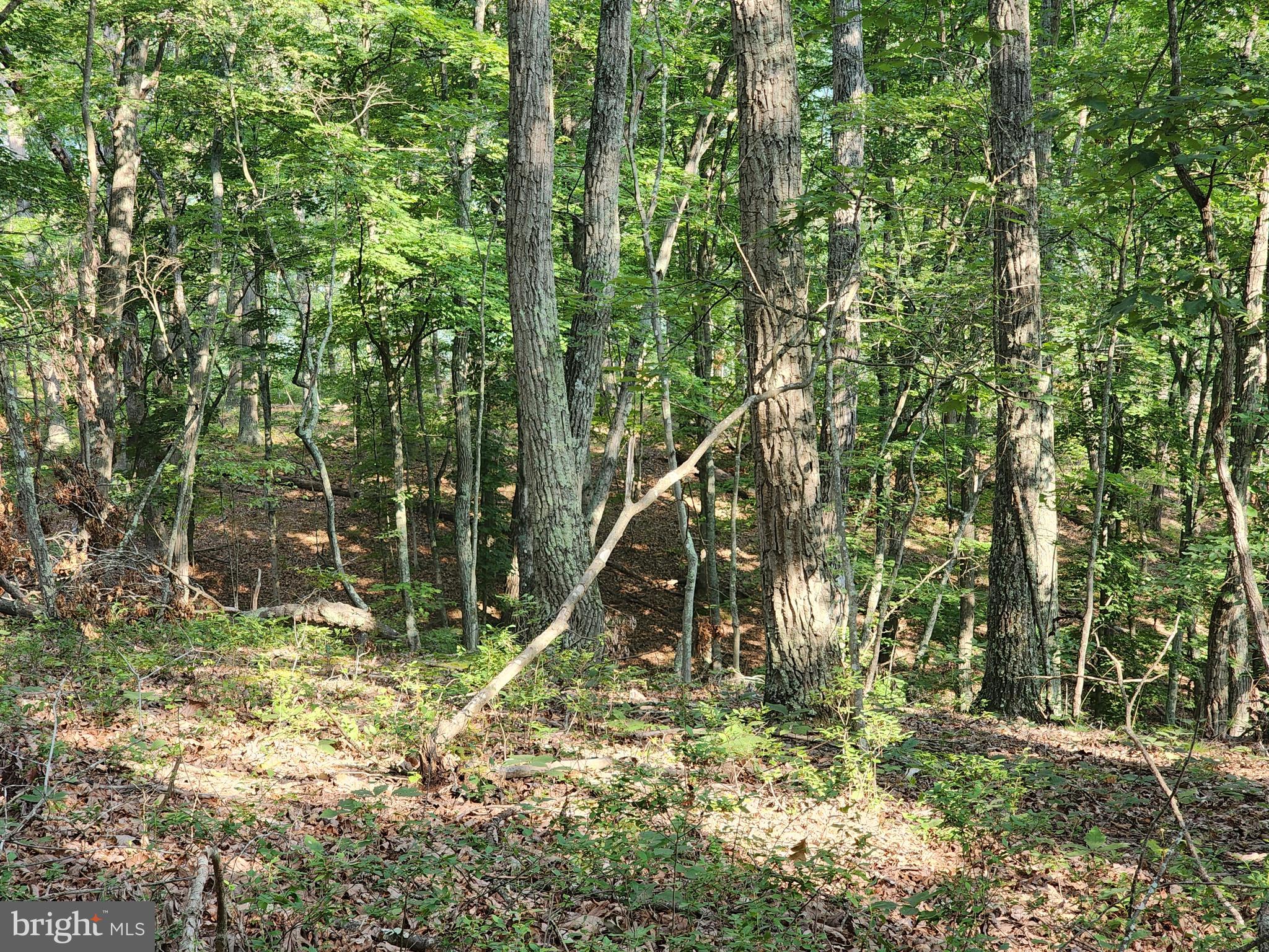 LAKE FERNDALE - Land