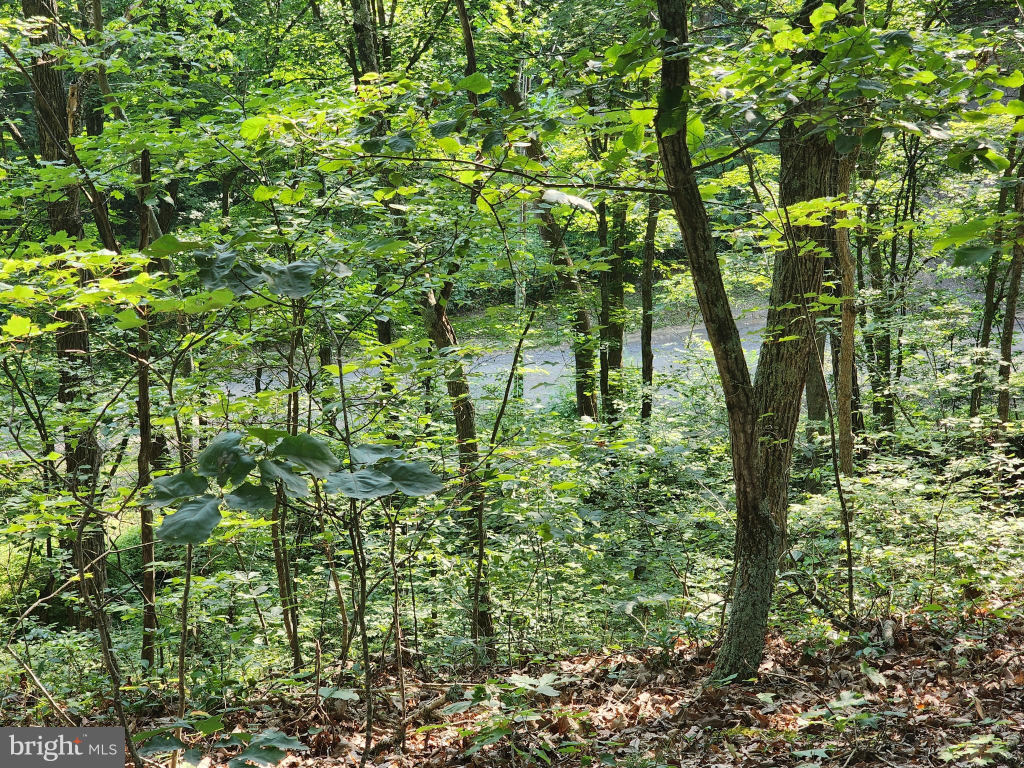 LAKE FERNDALE - Land