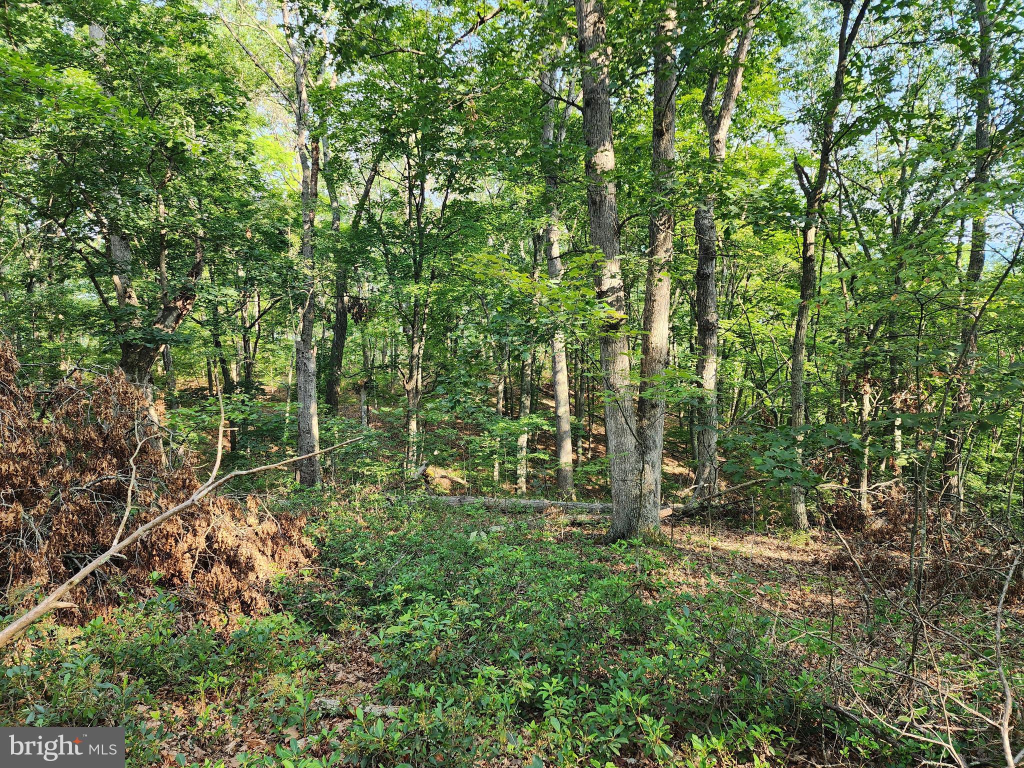 LAKE FERNDALE - Land