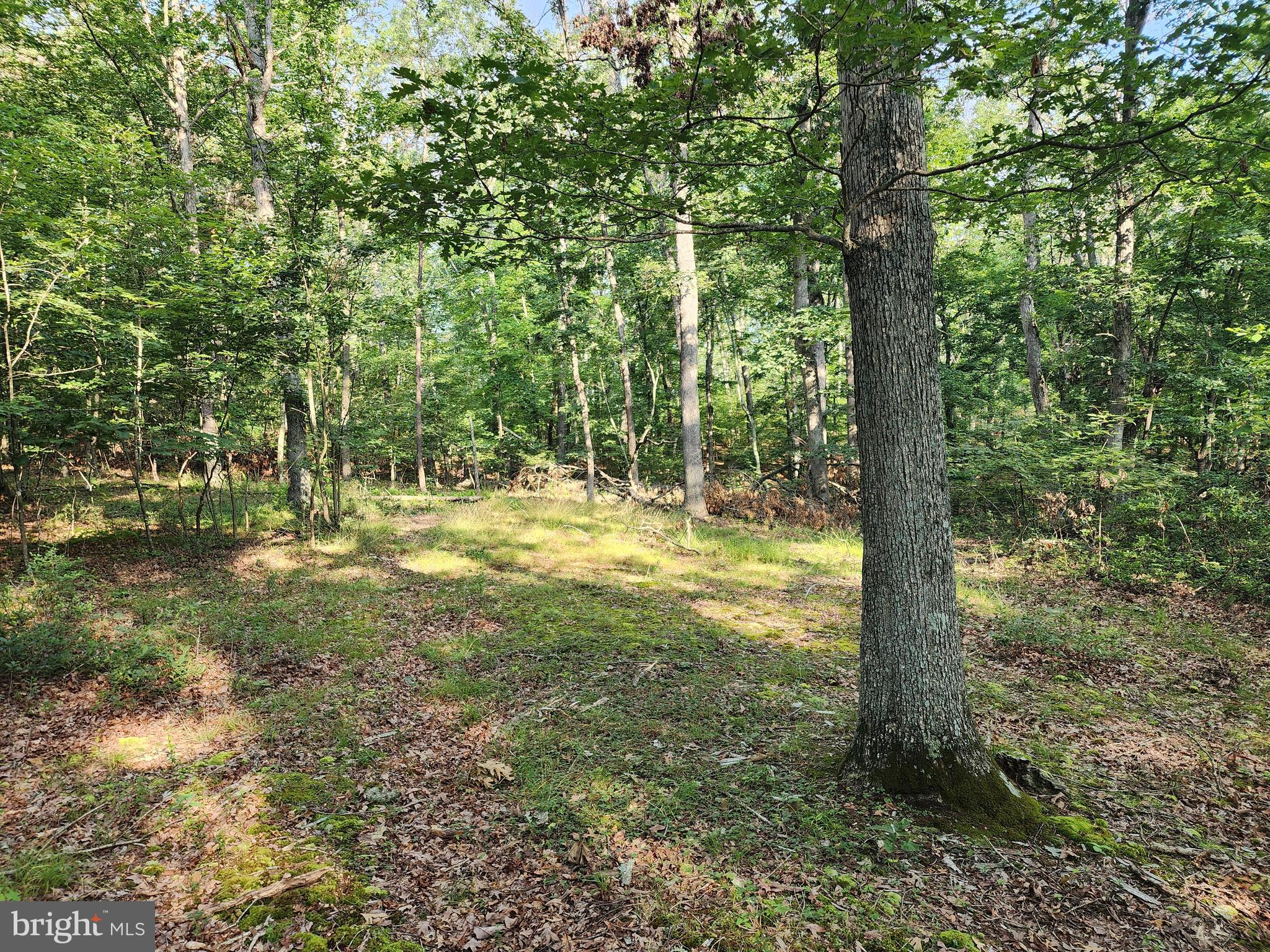 LAKE FERNDALE - Land