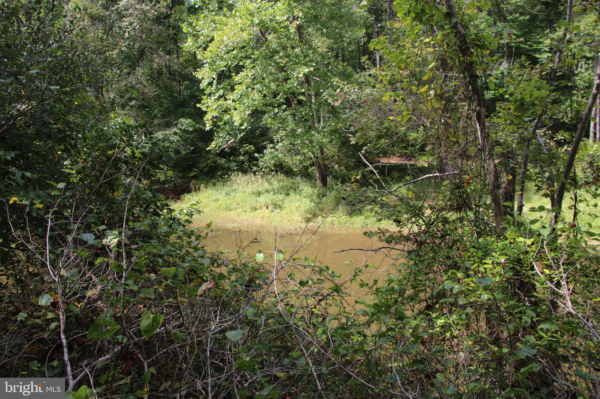 HODGES LANE