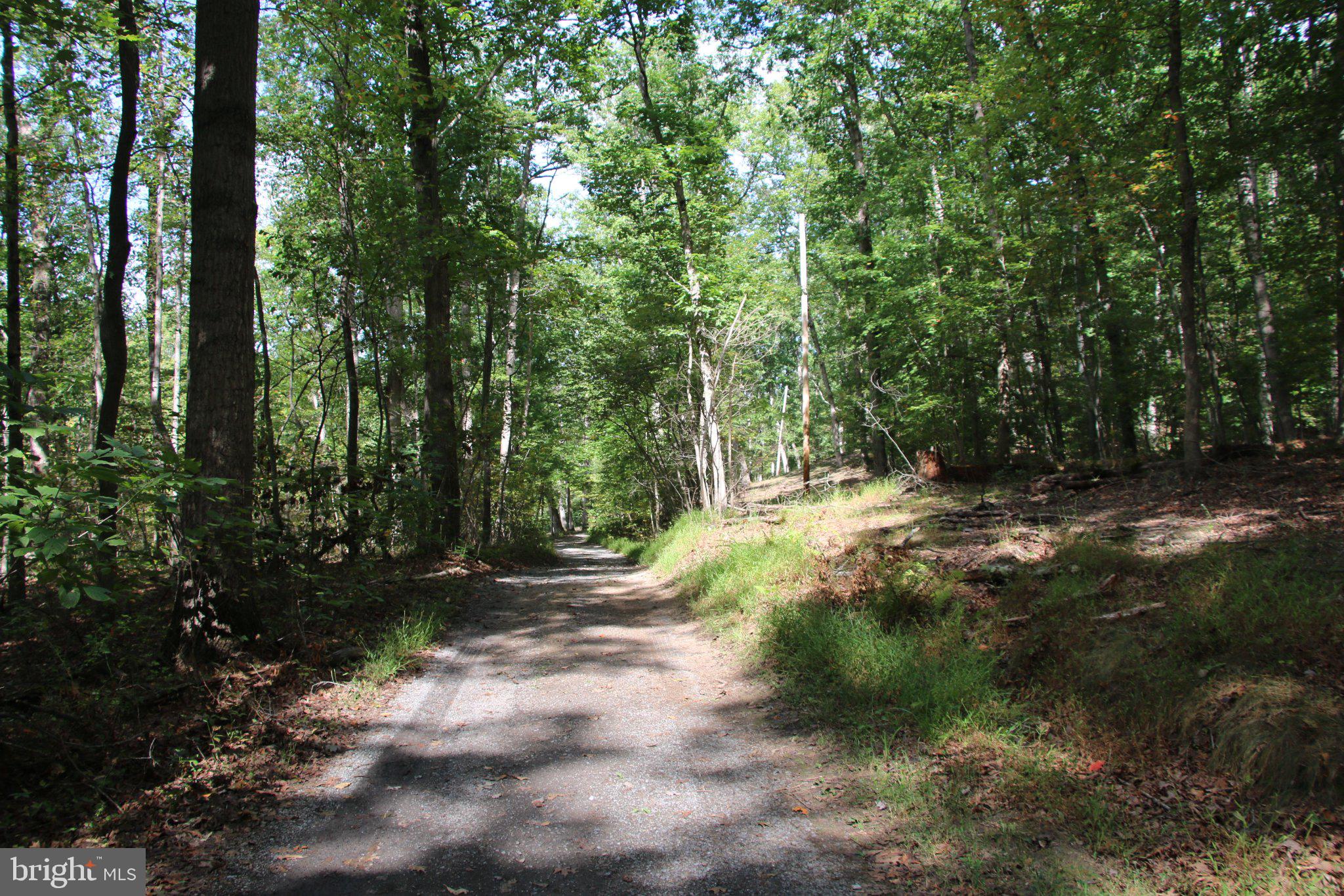HODGES LANE