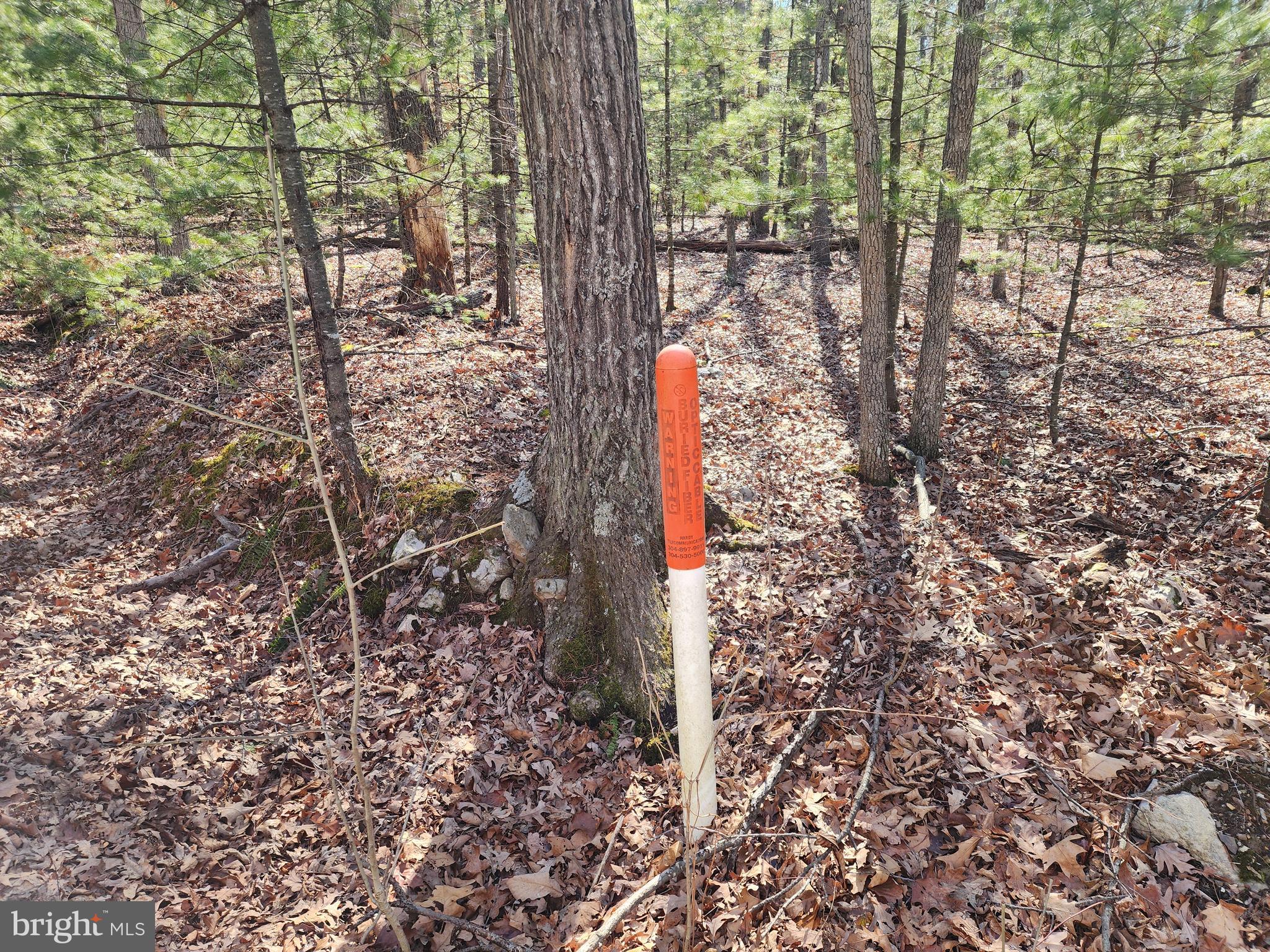 COVE MOUNTAIN ESTATES - Residential