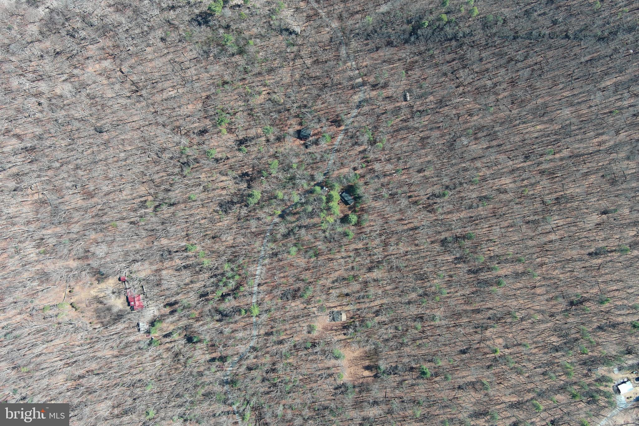 COVE MOUNTAIN ESTATES - Residential