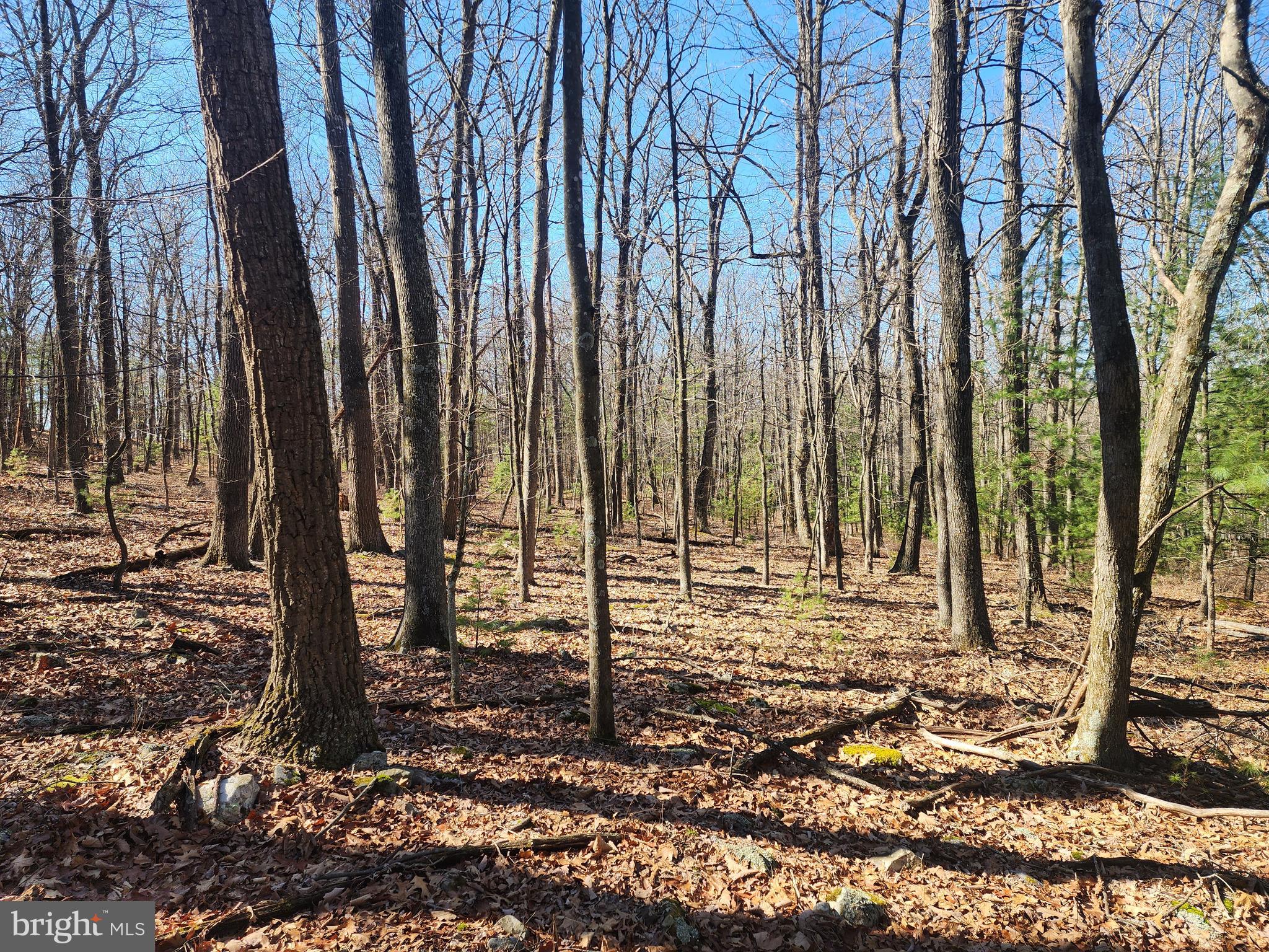 COVE MOUNTAIN ESTATES - Residential