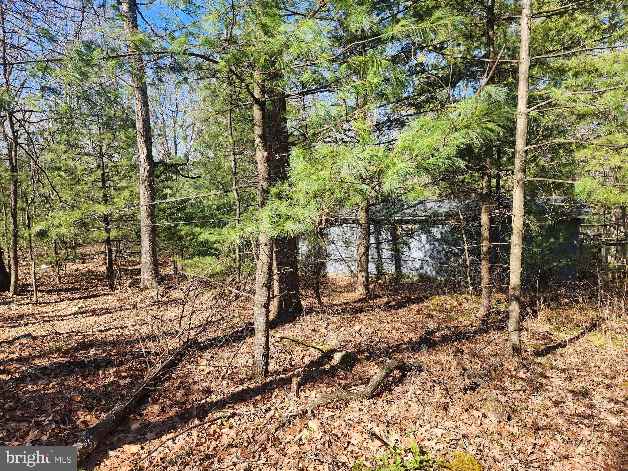 COVE MOUNTAIN ESTATES - Residential