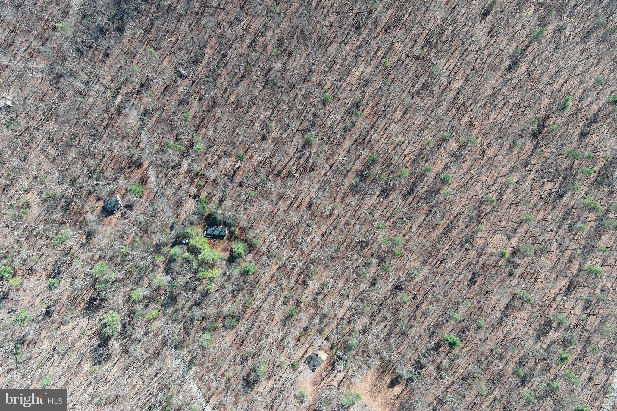 COVE MOUNTAIN ESTATES - Residential