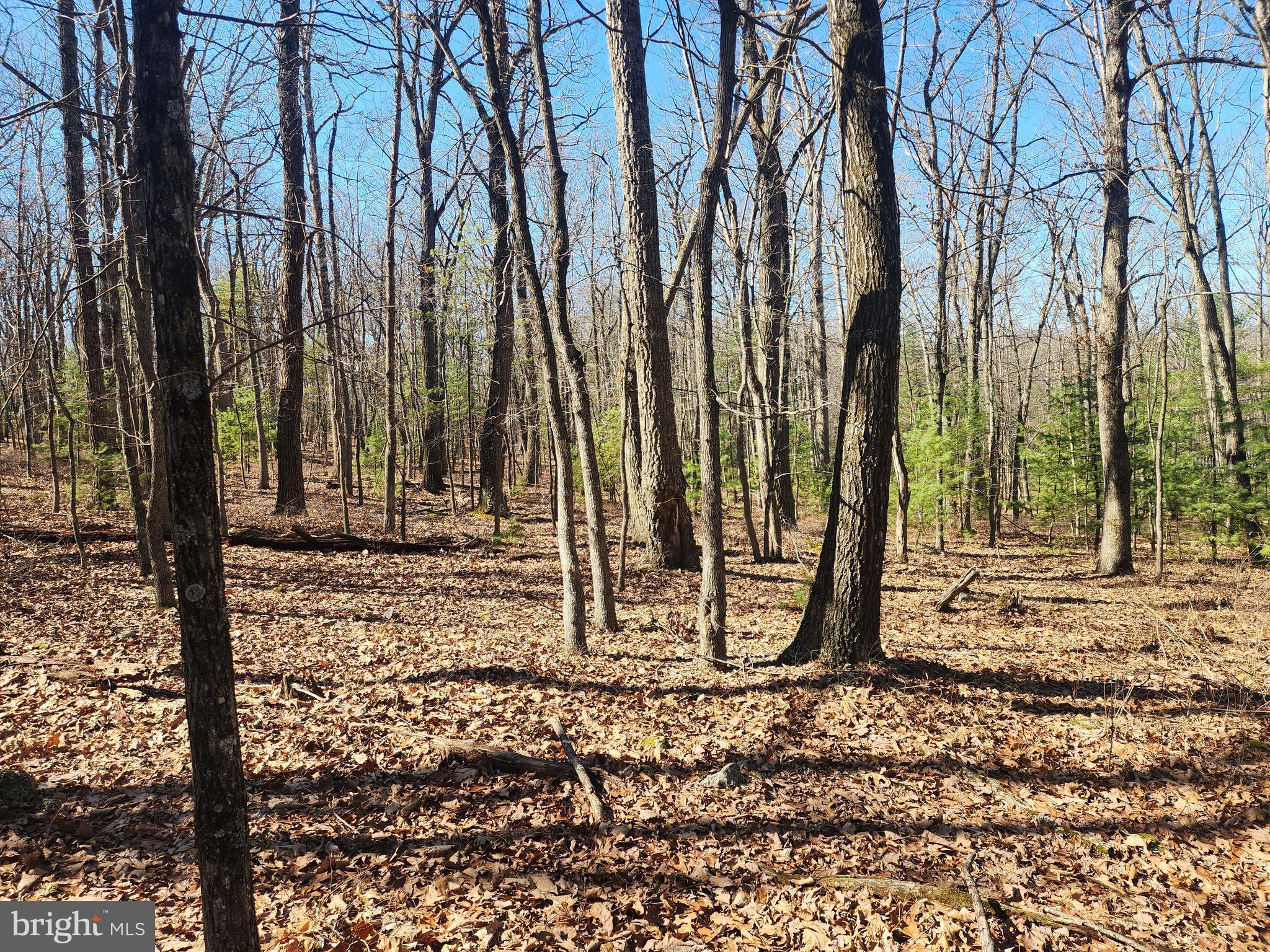 COVE MOUNTAIN ESTATES - Residential