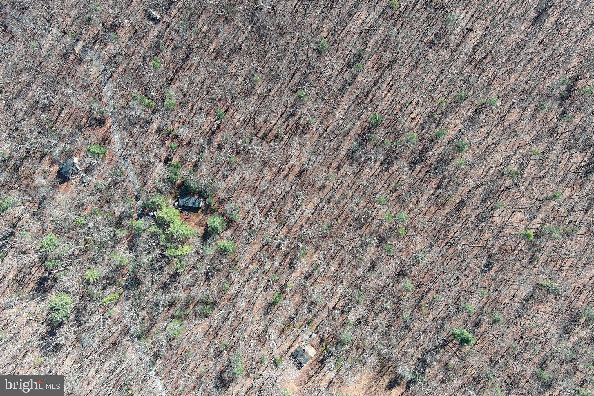 COVE MOUNTAIN ESTATES - Residential