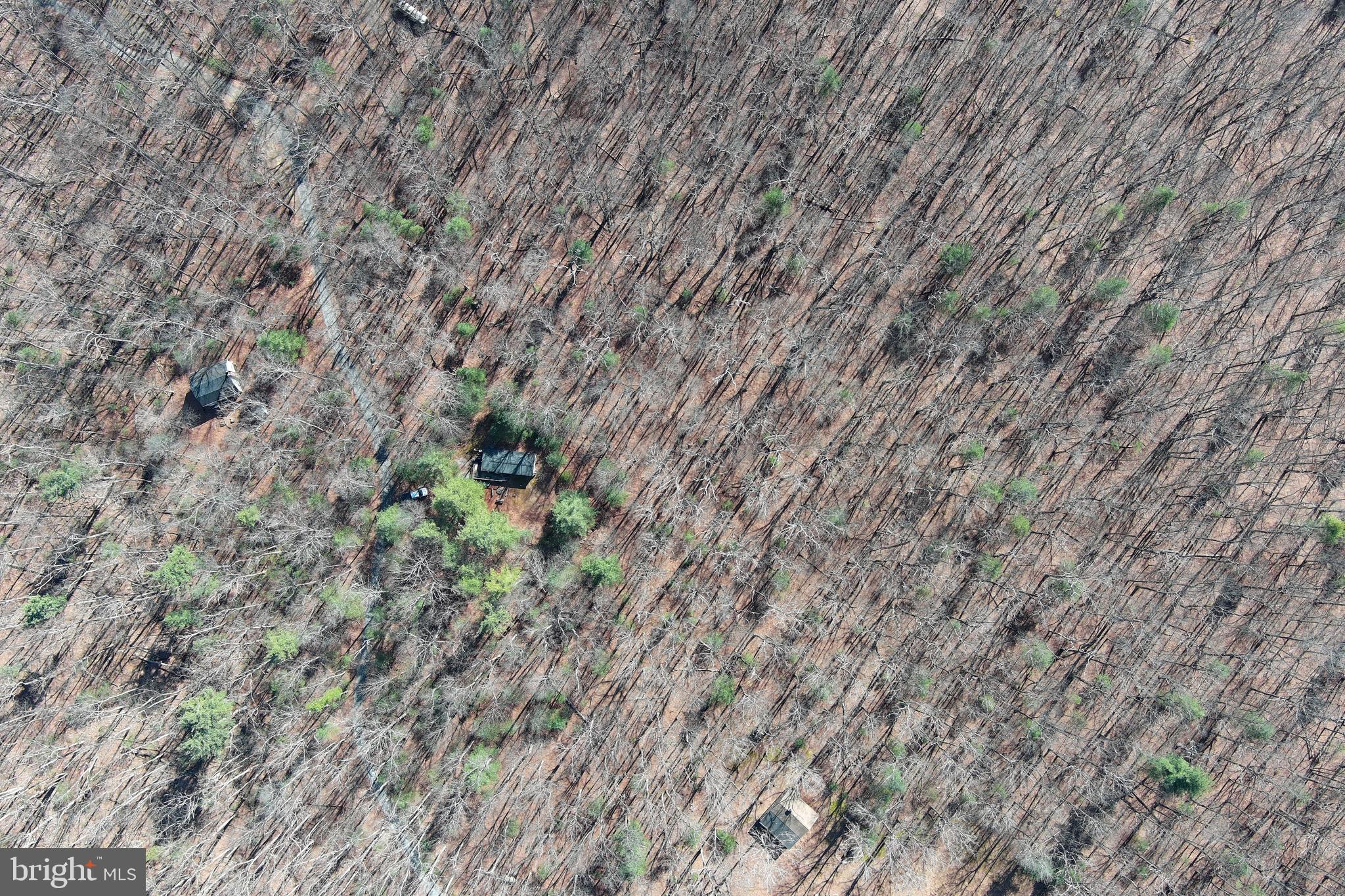 COVE MOUNTAIN ESTATES - Residential