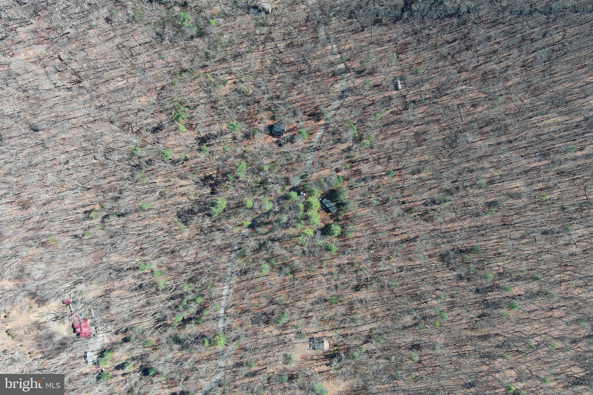 COVE MOUNTAIN ESTATES - Residential