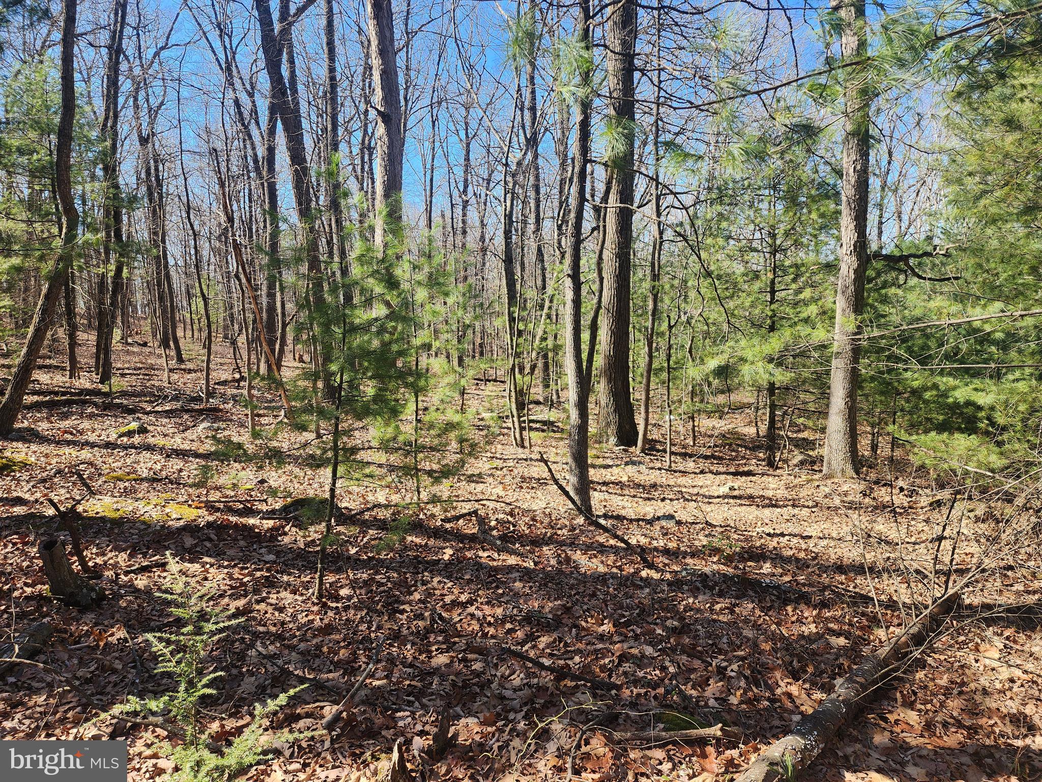 COVE MOUNTAIN ESTATES - Residential