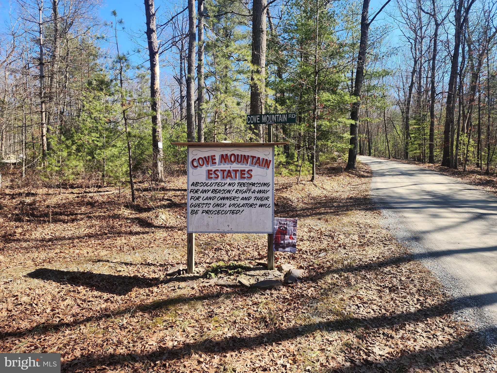 COVE MOUNTAIN ESTATES - Residential