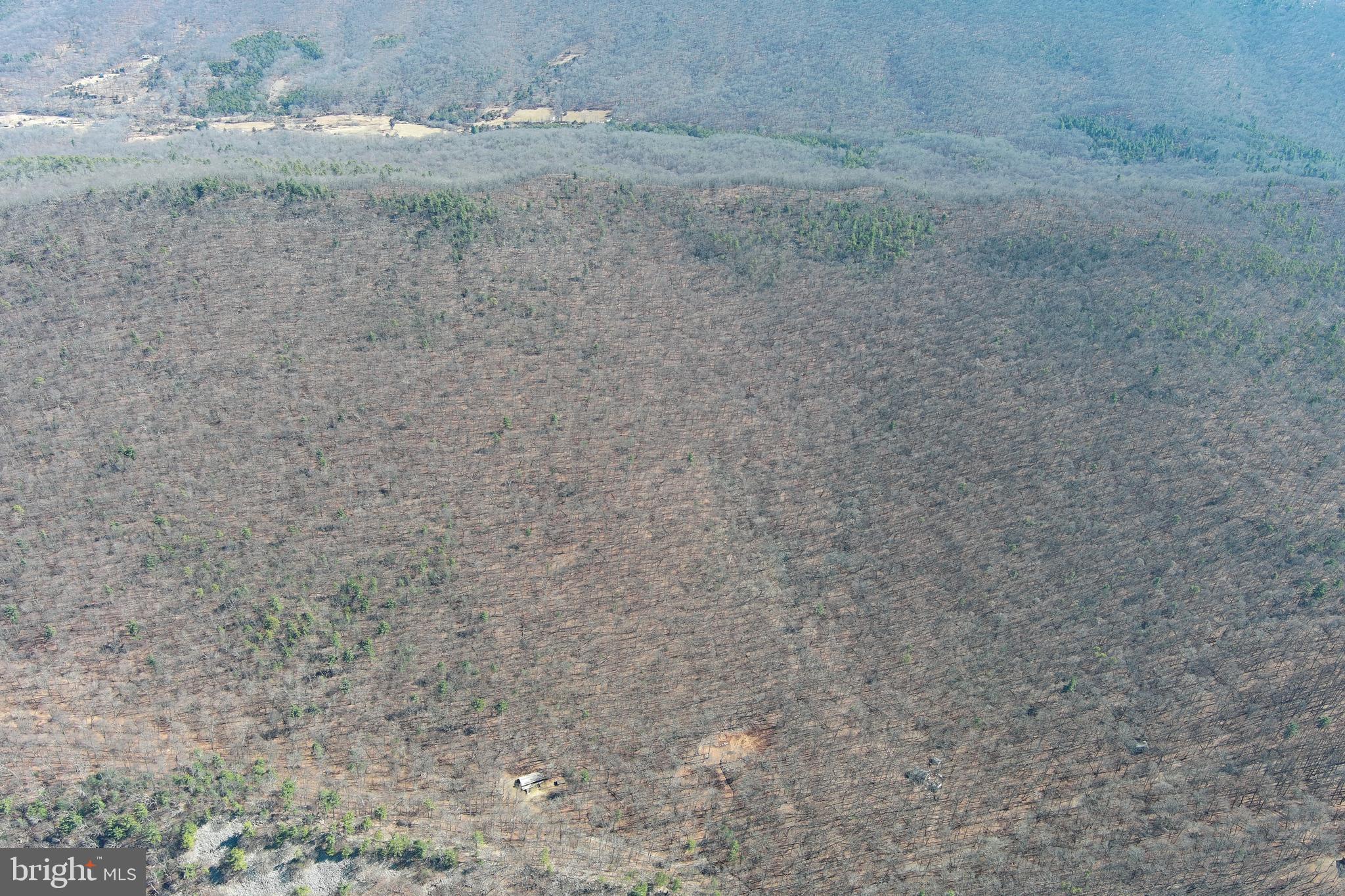 COVE MOUNTAIN ESTATES - Residential