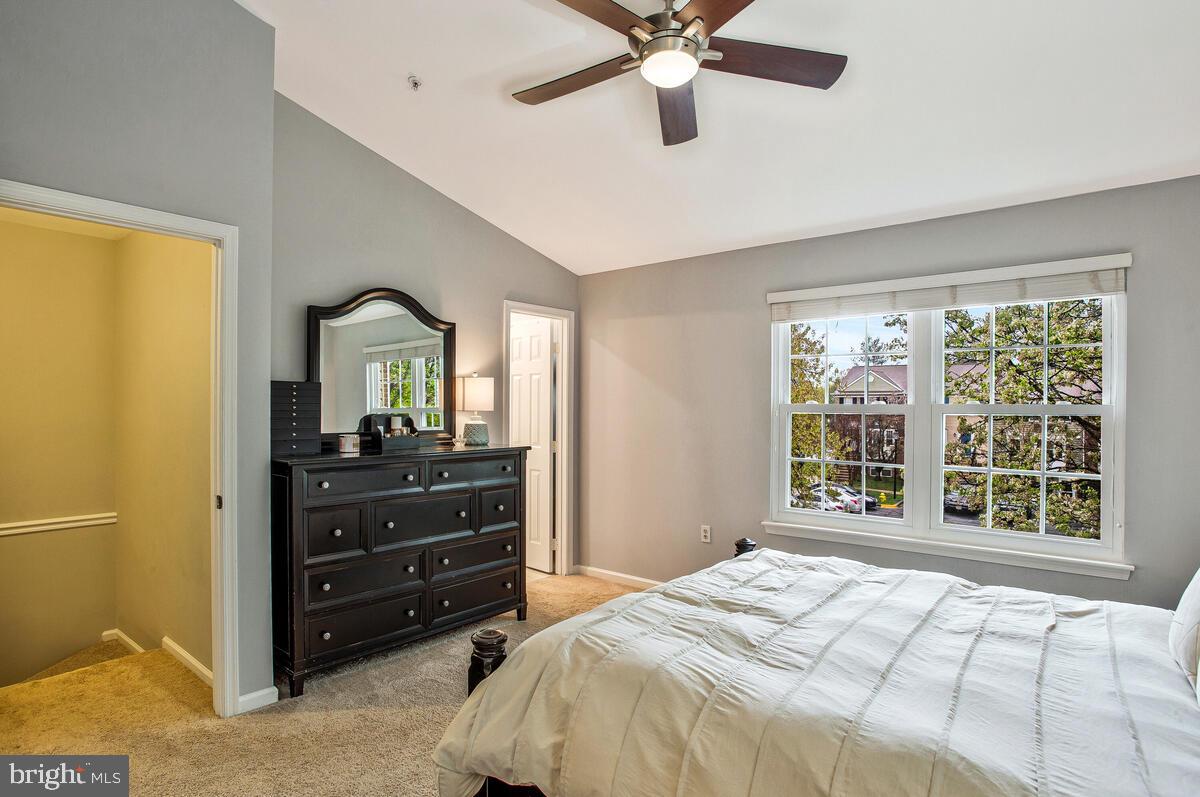 STONEHAVEN MEWS - Residential