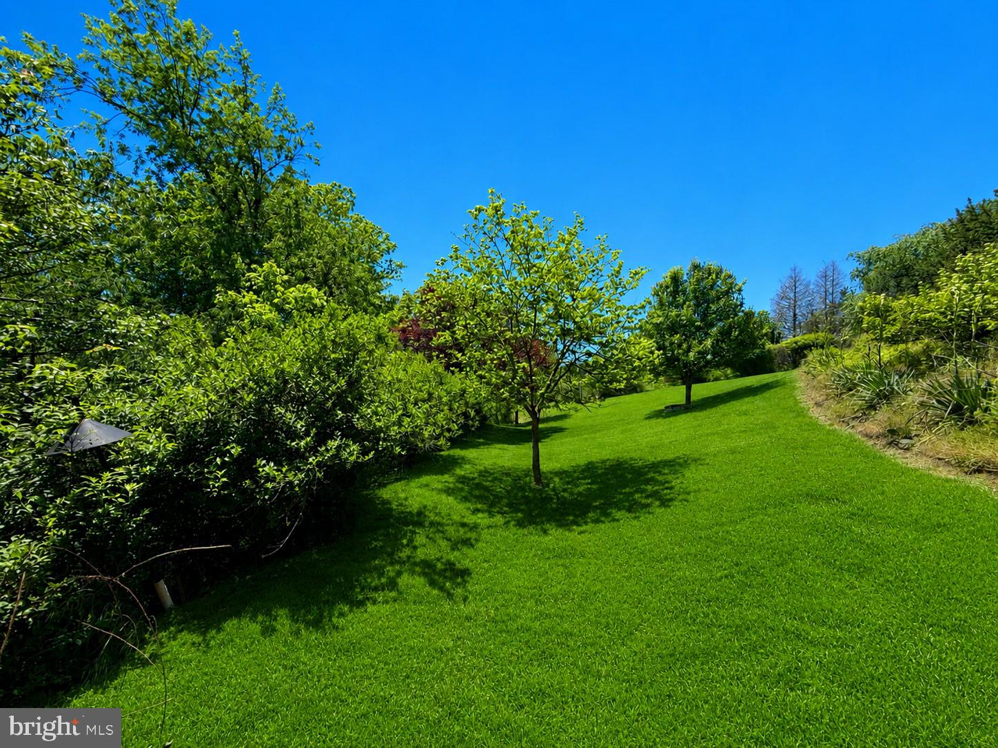 CARRINGTON HEIGHTS - Residential