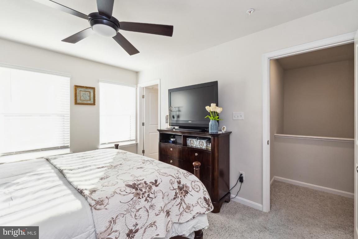 MEDFIELD - Residential