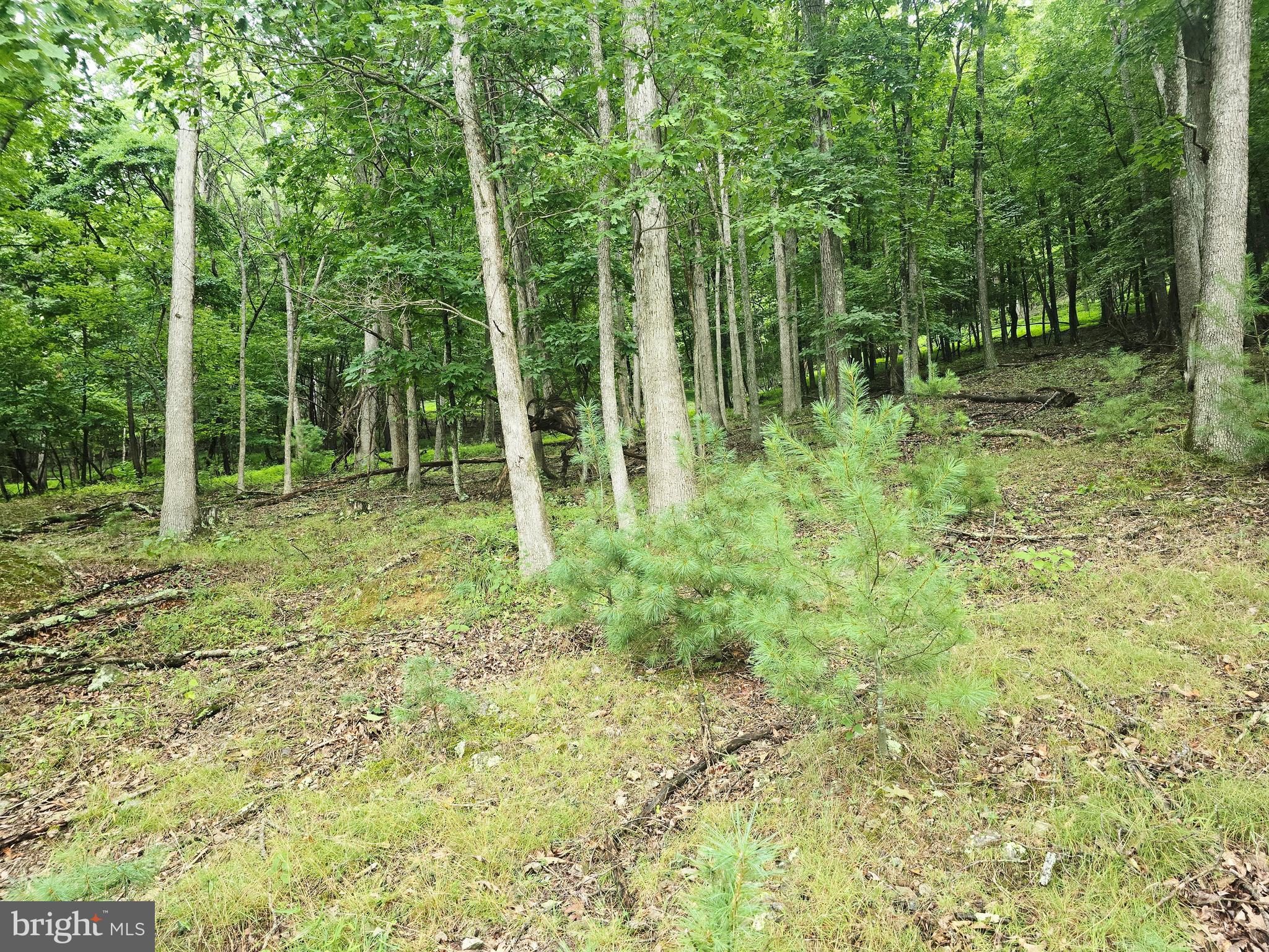 Lot 21 FAIRWAY LN