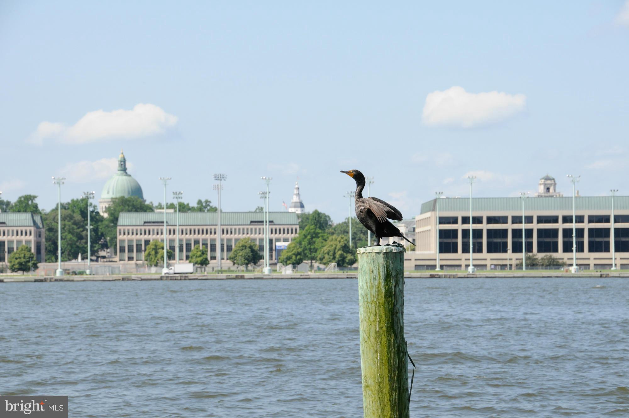 FERRY FARMS - Residential