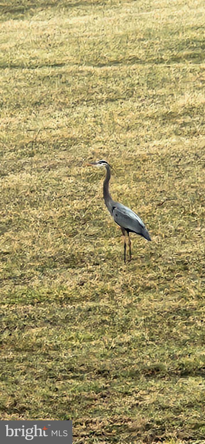 BENTONVILLE - Residential